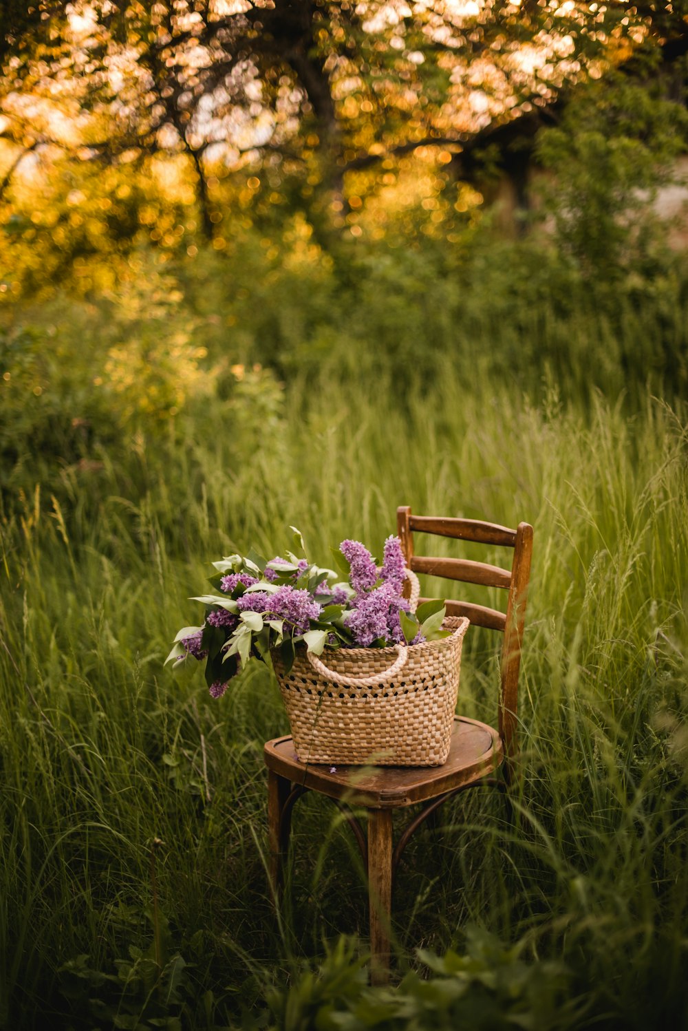 lila Blumen in braun geflochtenem Korb auf braunem Holzstuhl