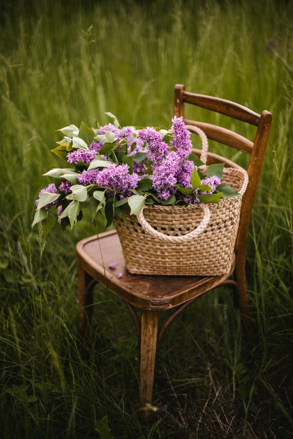 purple flowers in brown woven basket on brown wooden table