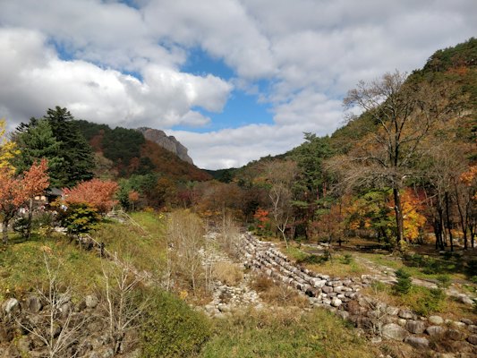 Green and brown trees under blue sky during daytime — Seoraksan & Sokcho, South Korea