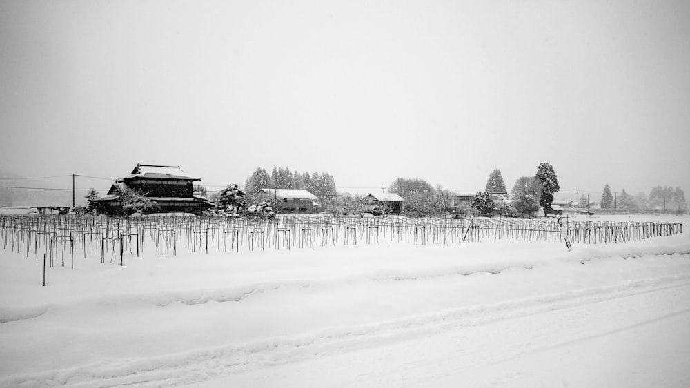 snow covered field during daytime