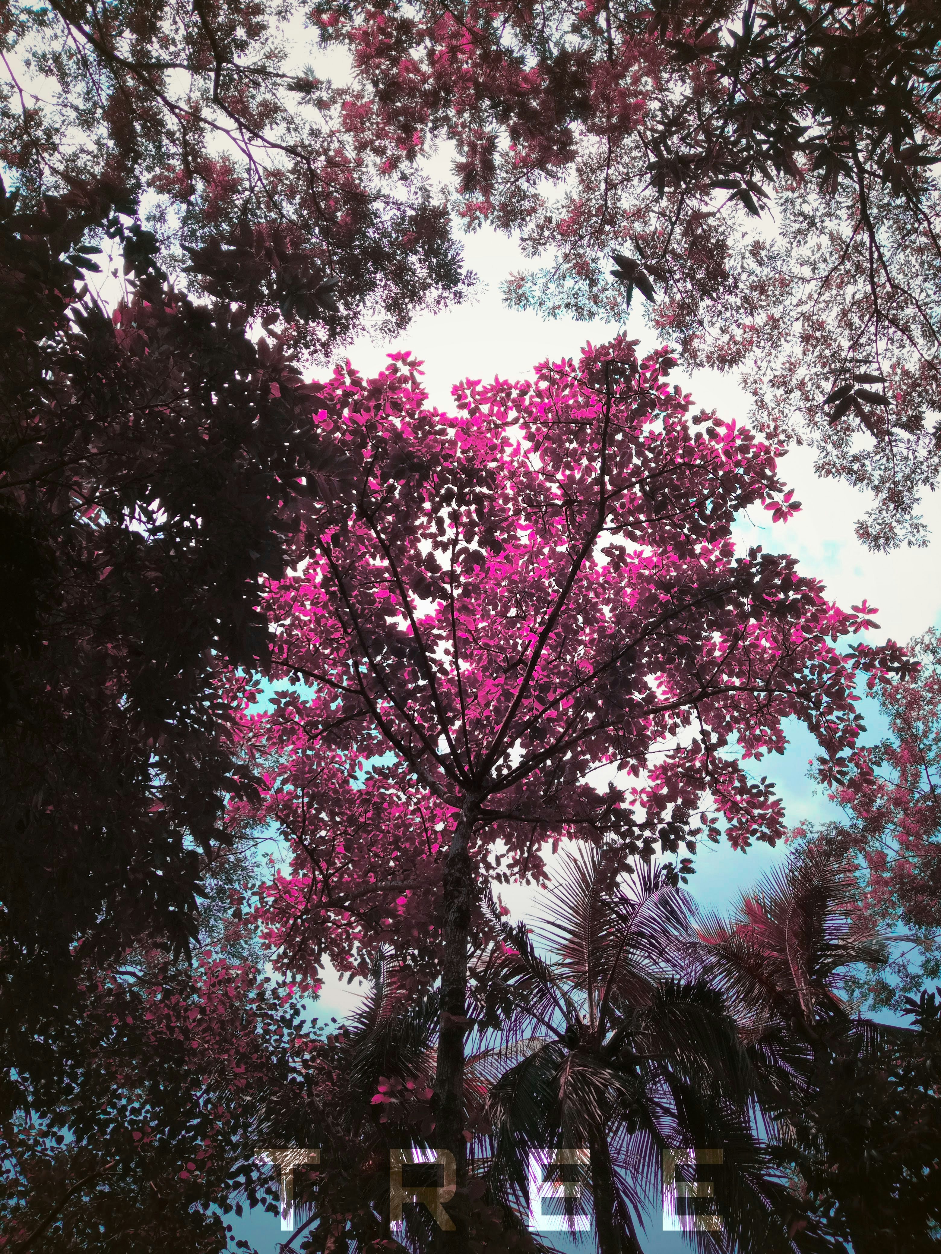 Like a SEO consultant, it is the role to totally understand your company culture