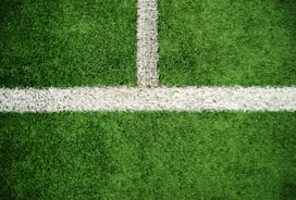 green grass field during daytime