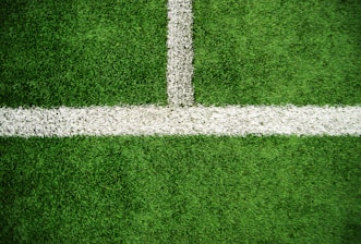 green grass field during daytime
