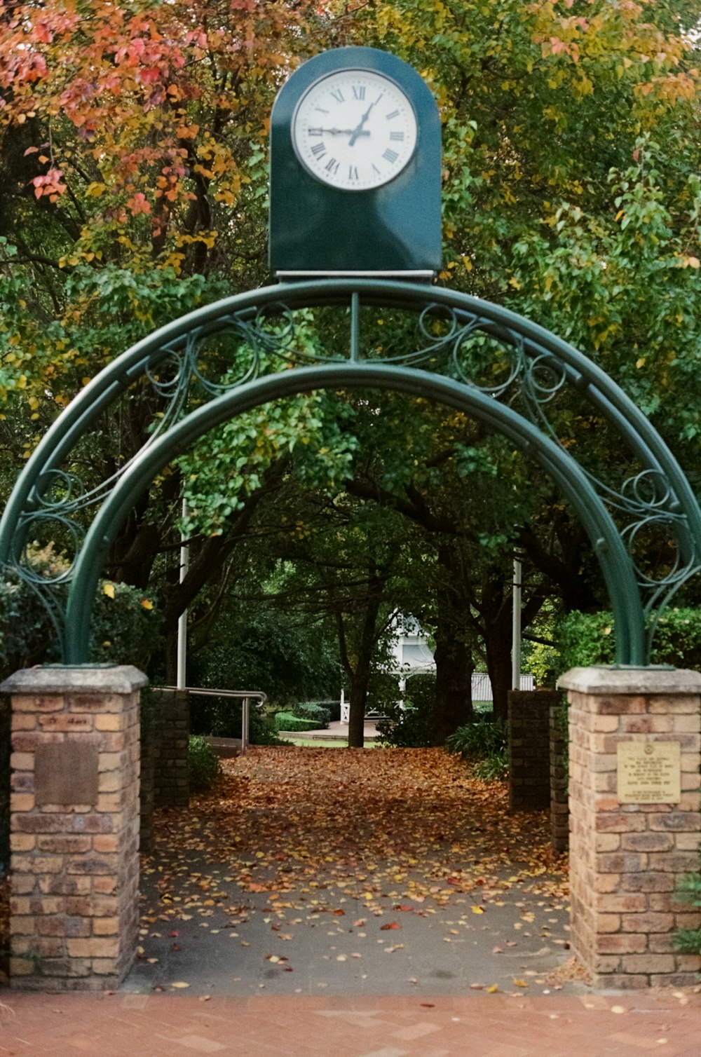 green metal arch near green trees during daytime
