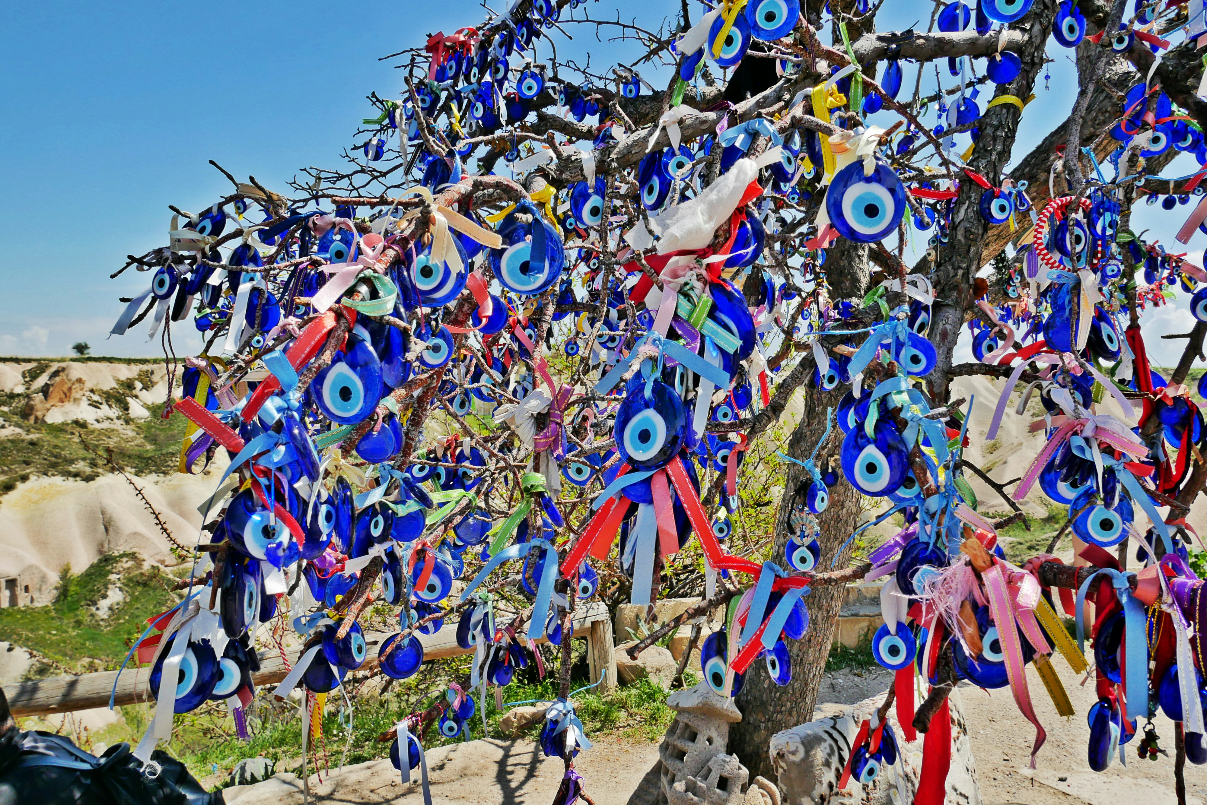 Photo 1621847377782 A22561680f26?crop=entropy&cs=tinysrgb&fit=max&fm=jpg&ixid=M3w1MjQ0NjR8MHwxfHNlYXJjaHwxOHx8bWFzJUMzJUI2eiUyMGhhbGthbCVDNCVCMXxlbnwwfDB8fHwxNzg1MDU4MDg2fDA&ixlib=rb 4.1