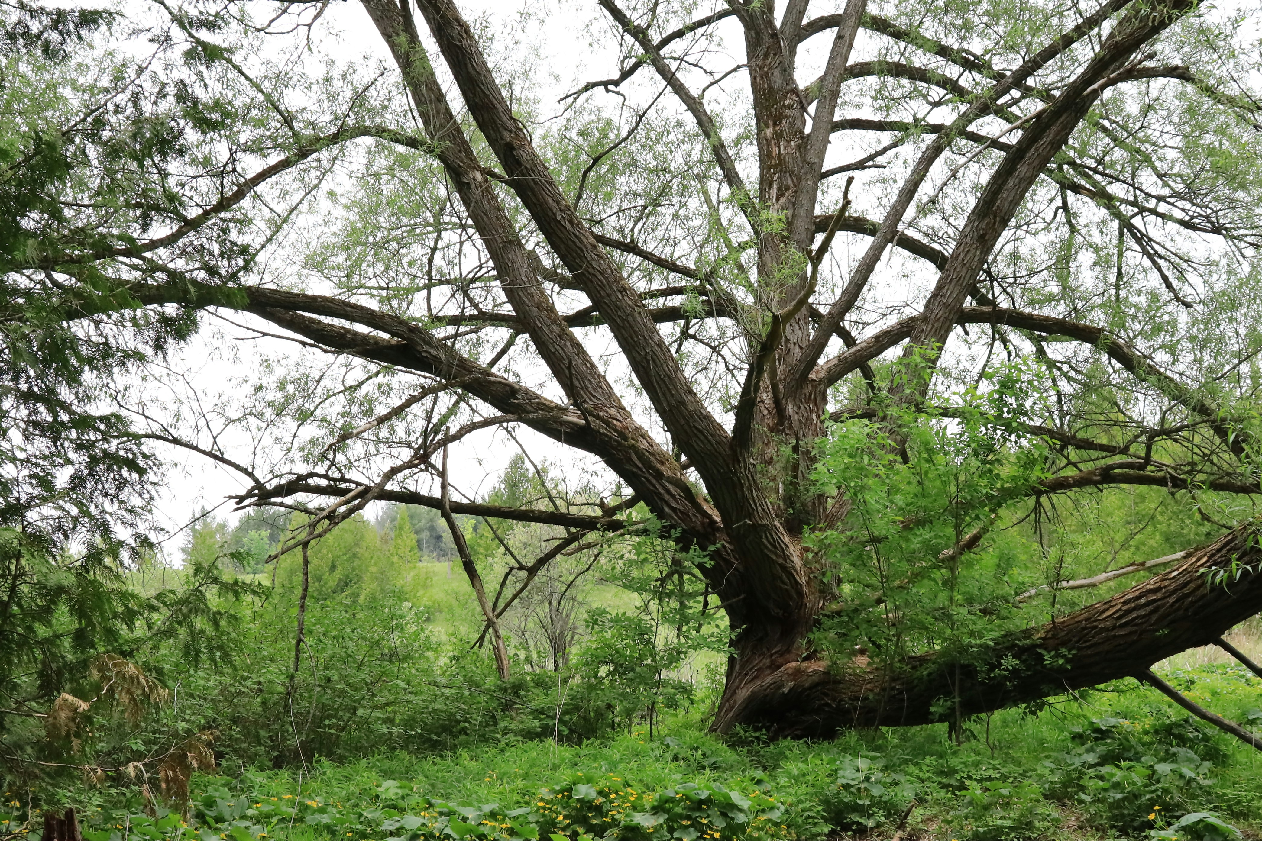 Photo by richardworks