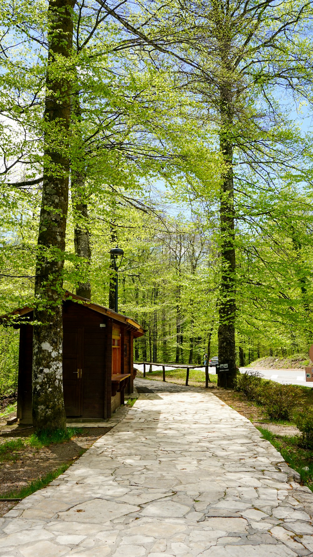 brown wooden shed in the middle of the forest