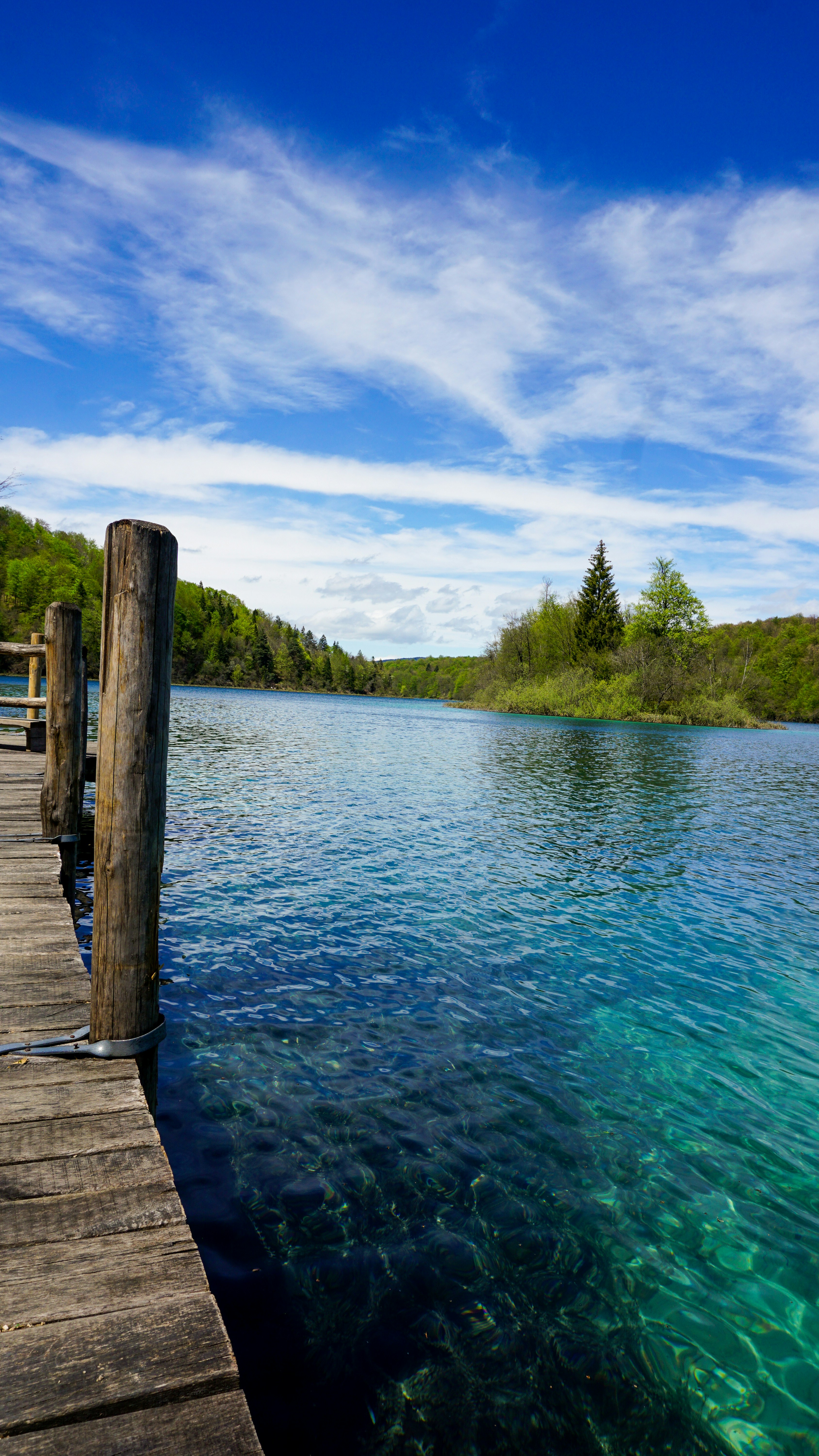 Photo by archana_reddy