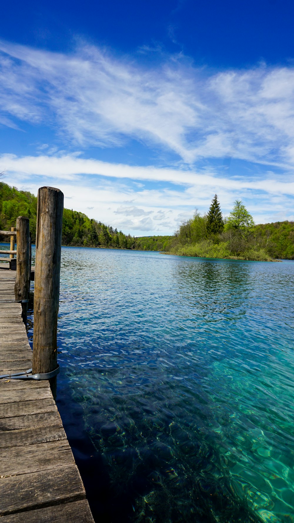 brown wooden dock on lake during daytime