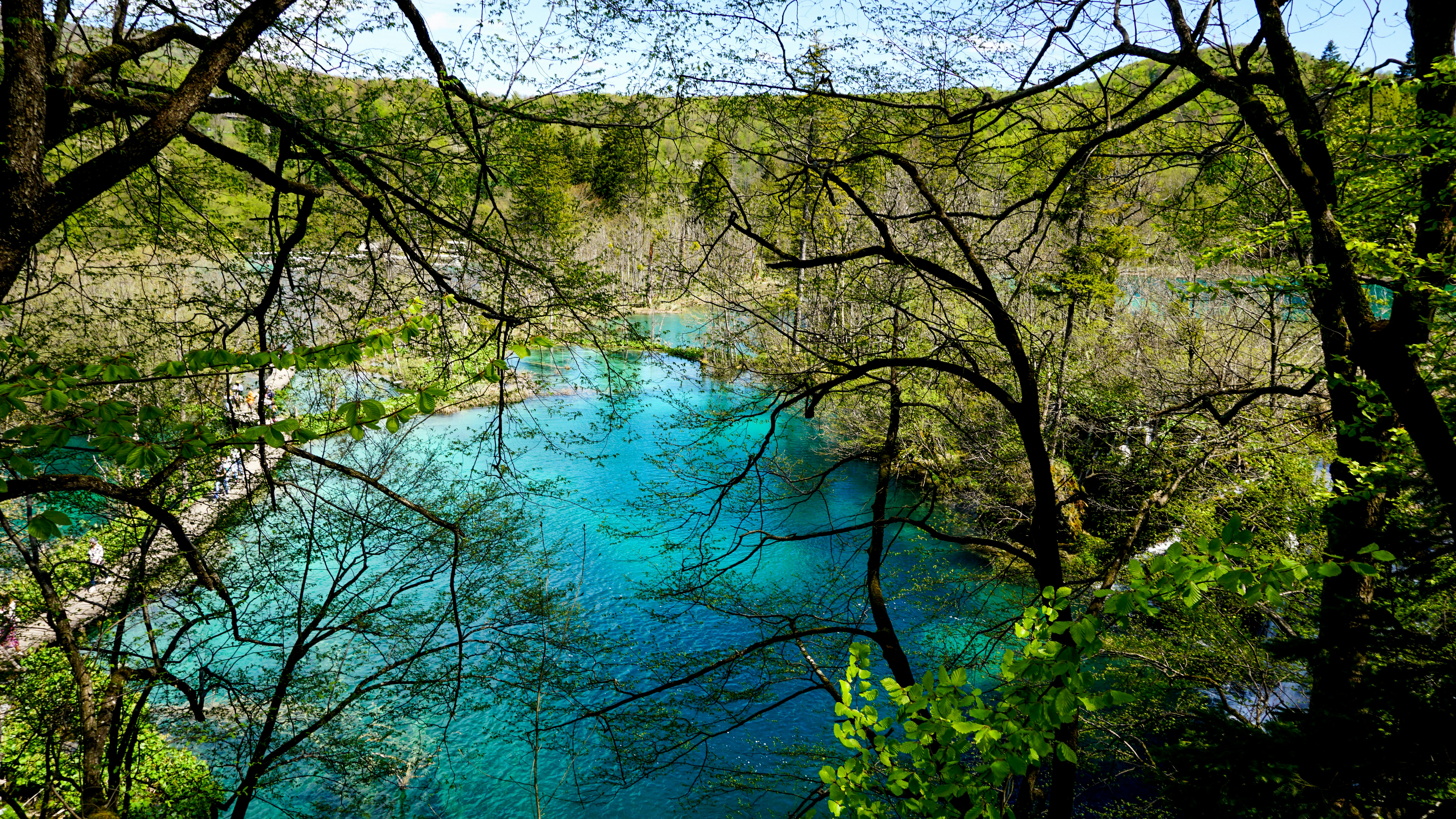 Photo by archana_reddy