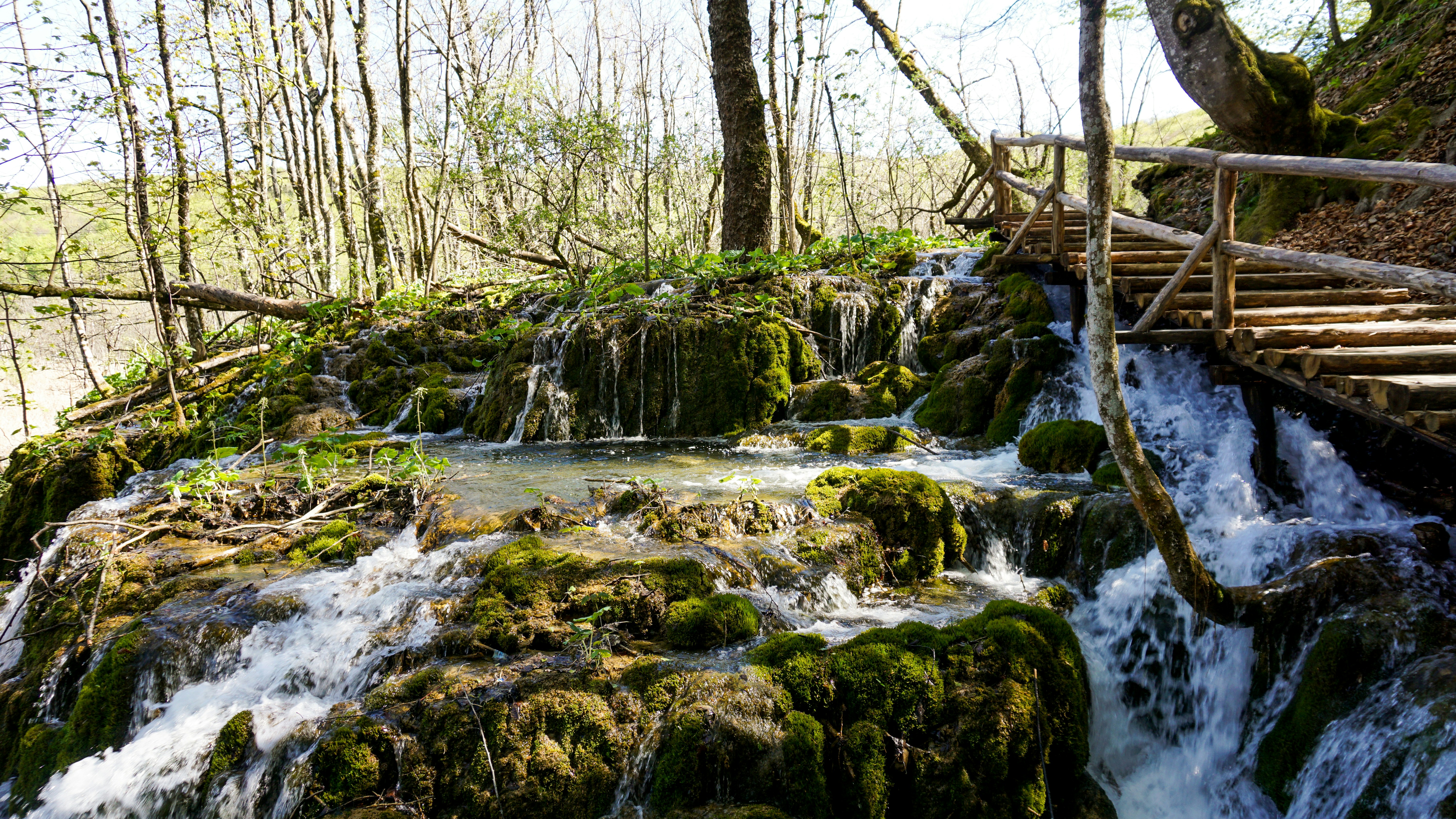 Photo by archana_reddy