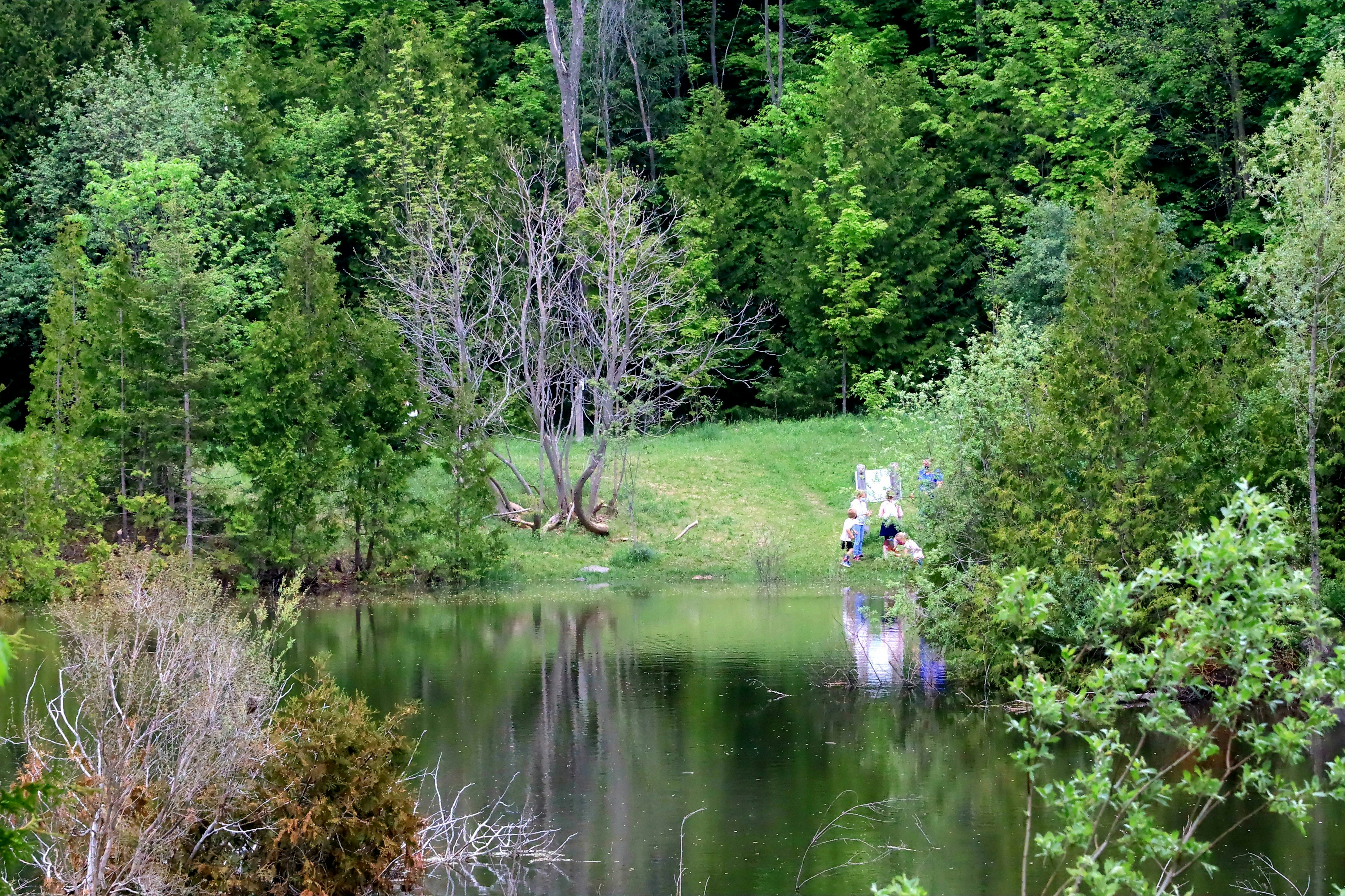 Photo by richardworks