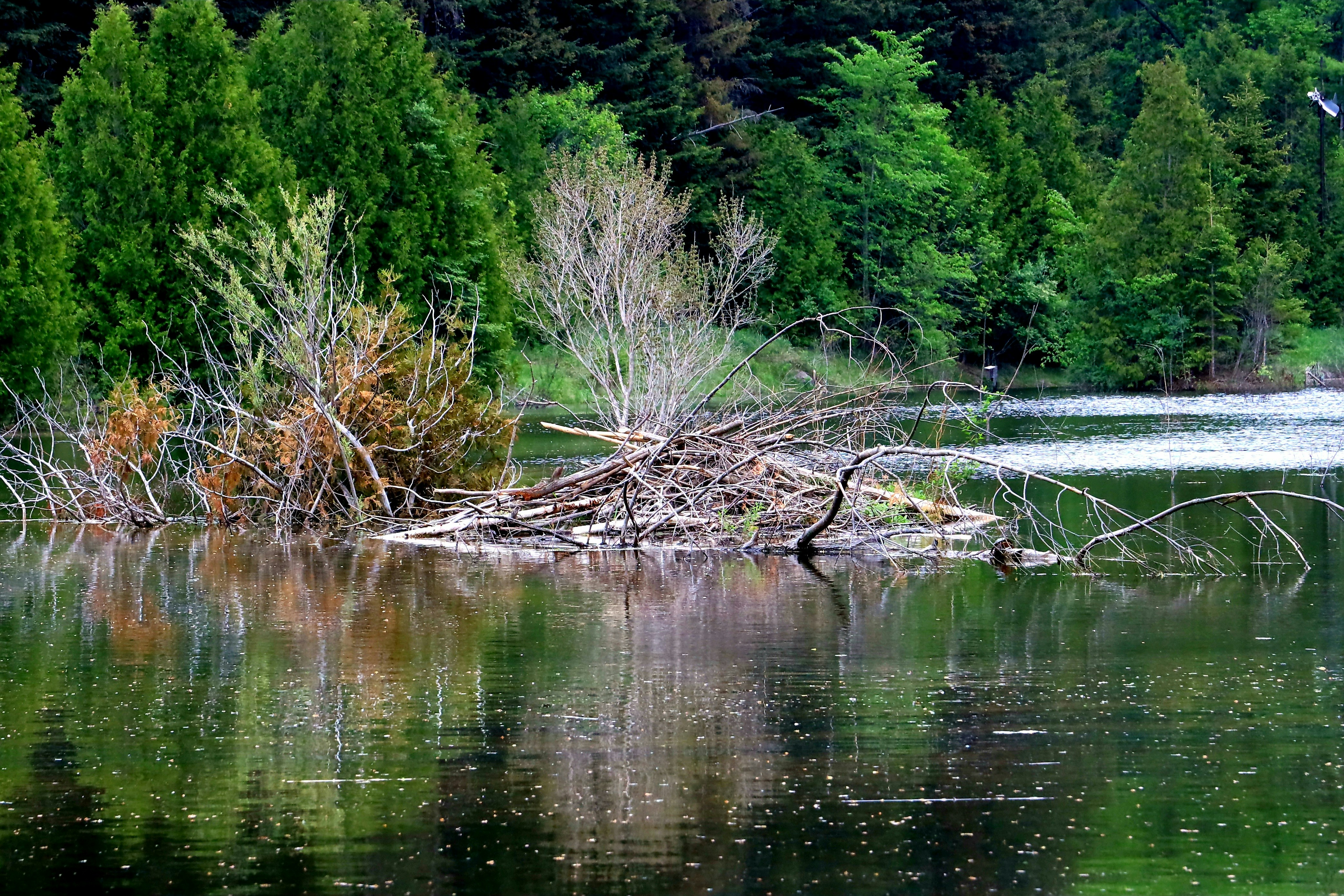 Photo by richardworks