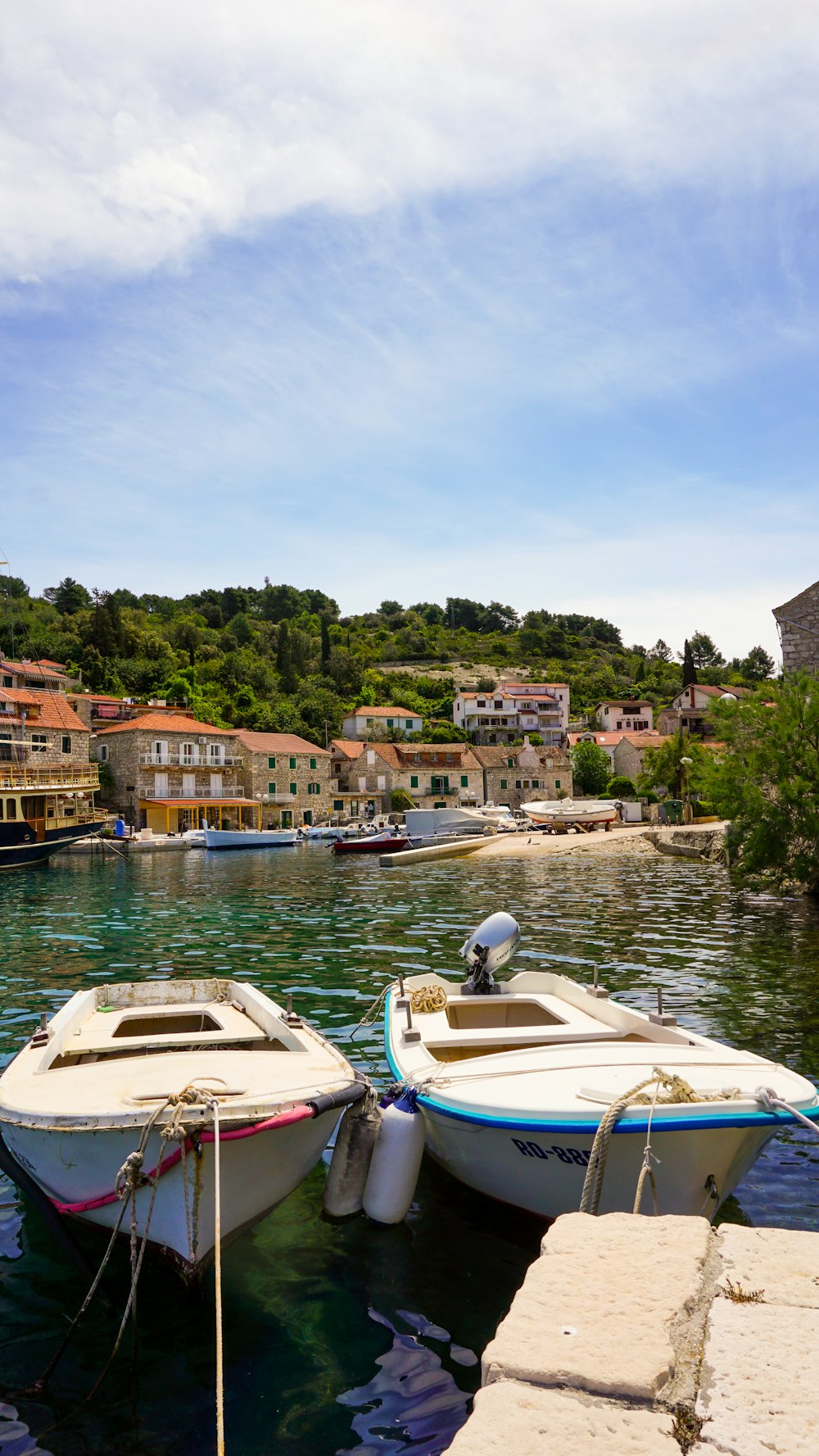 white and blue boat on water near green trees during daytime