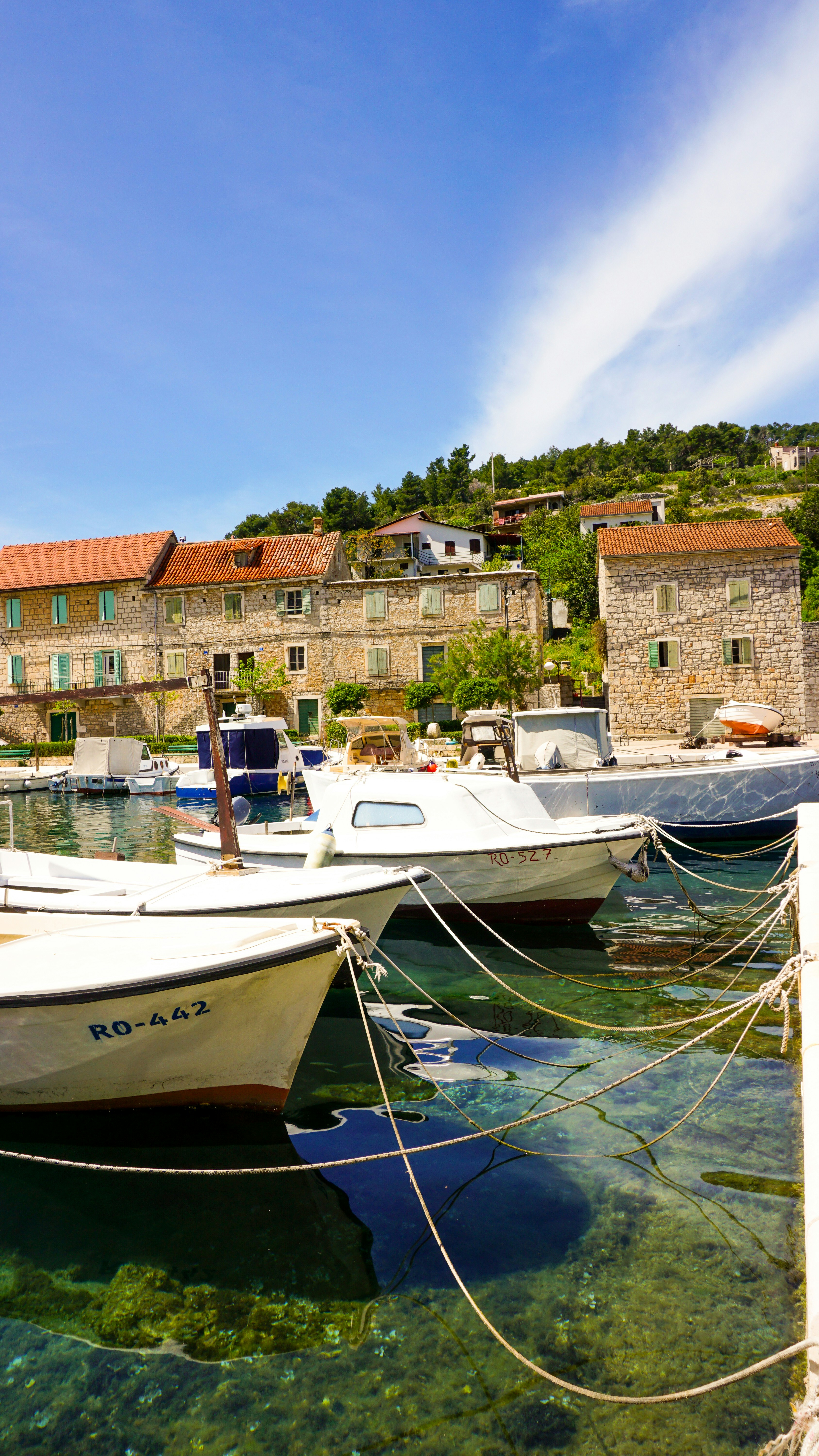 Photo by archana_reddy