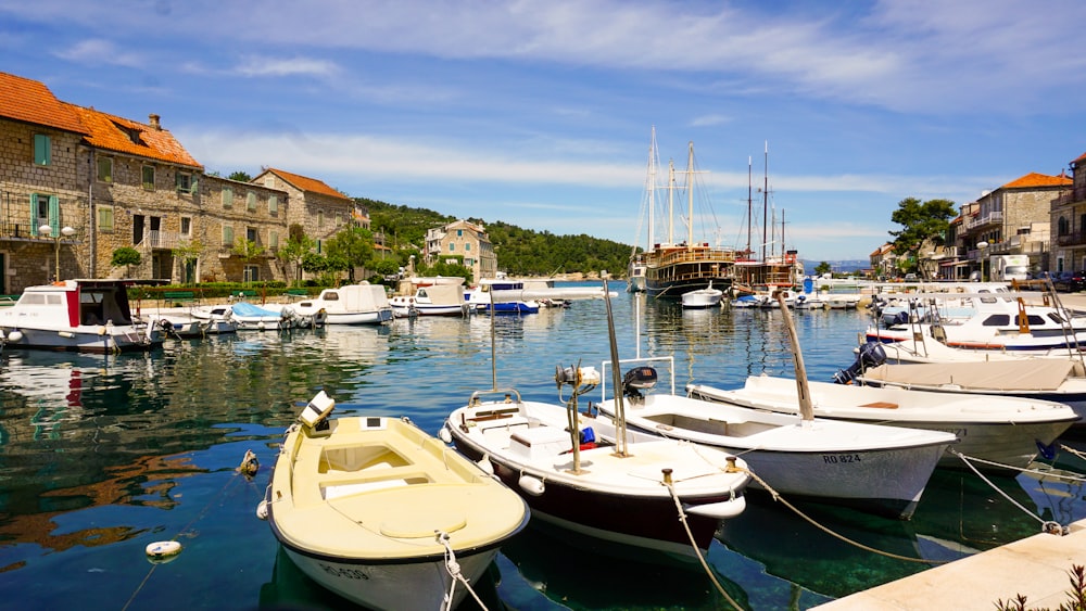 Bateaux blancs et bleus sur le quai pendant la journée