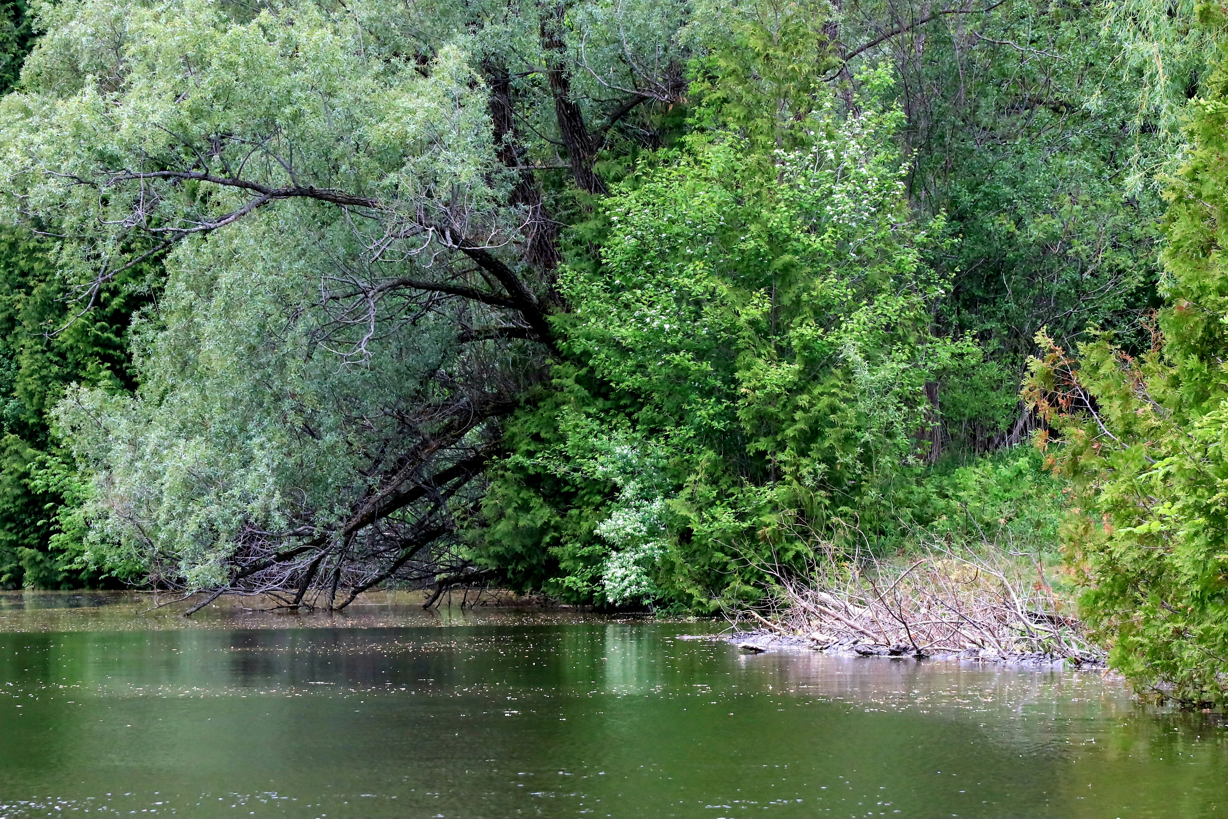 Photo by richardworks