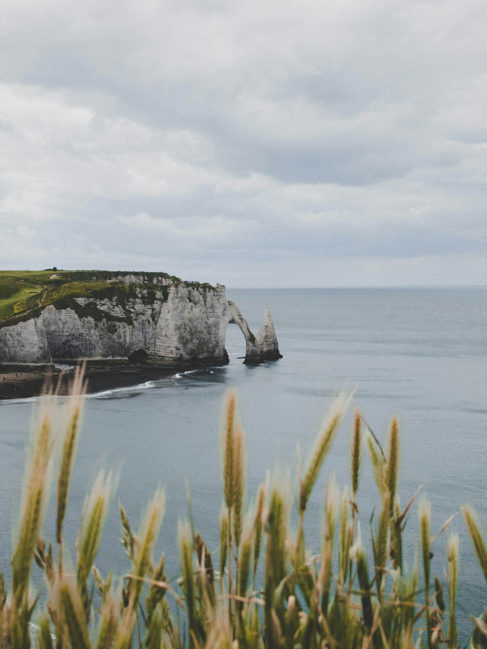 green grass on gray rock formation near body of water during daytime