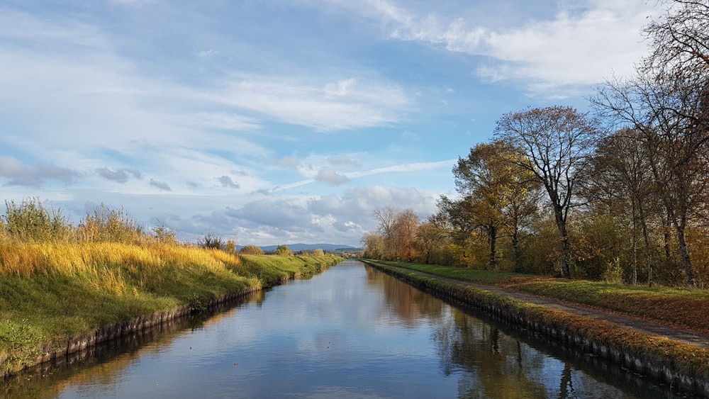 Grünes Grasfeld am Fluss unter blauem Himmel tagsüber