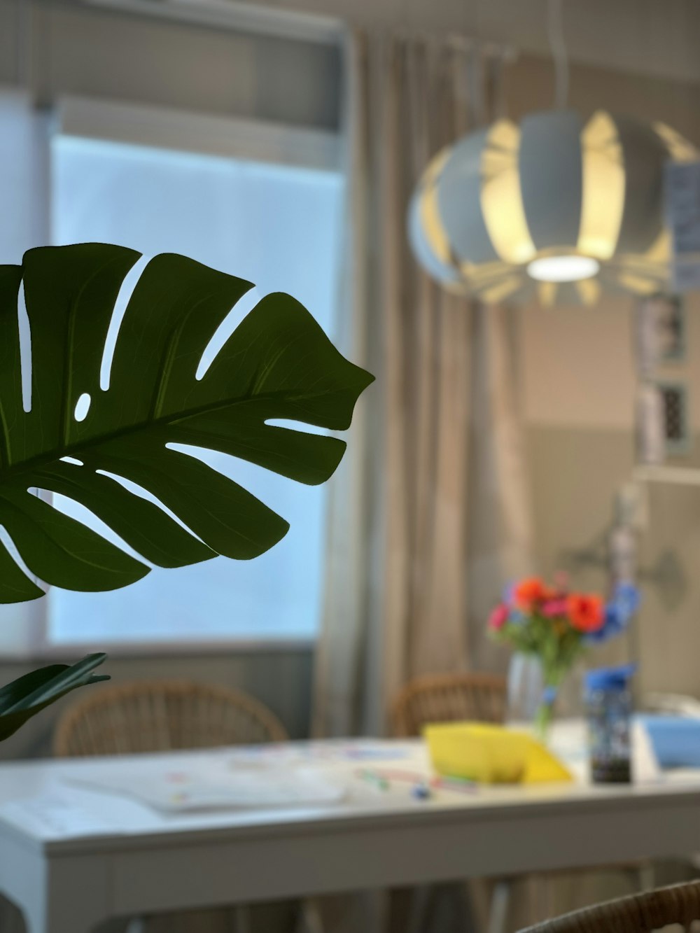 green leaf plant on table