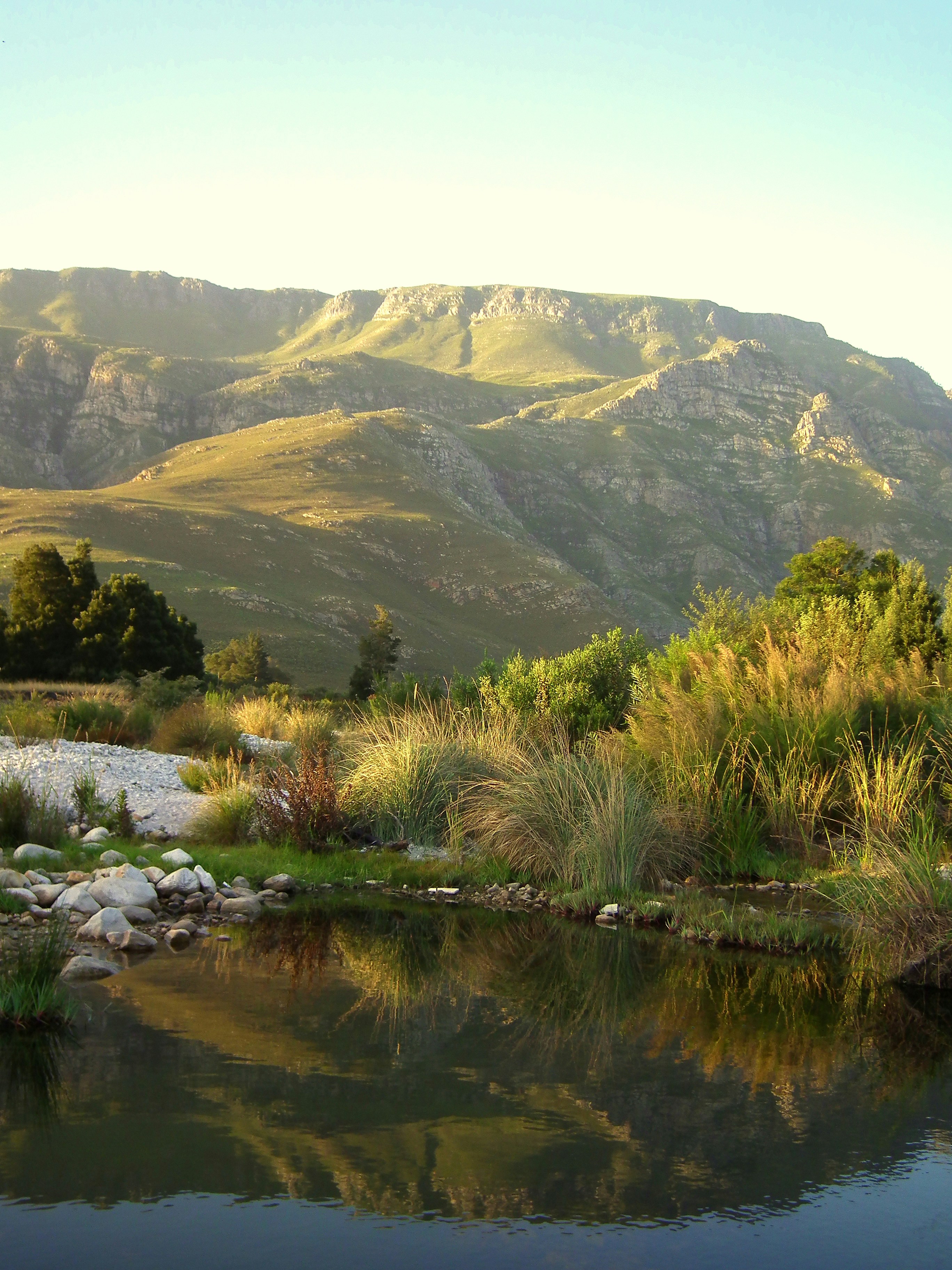 Montañas verdes se reflejan en un lago tranquilo con orillas cubiertas de hierba.