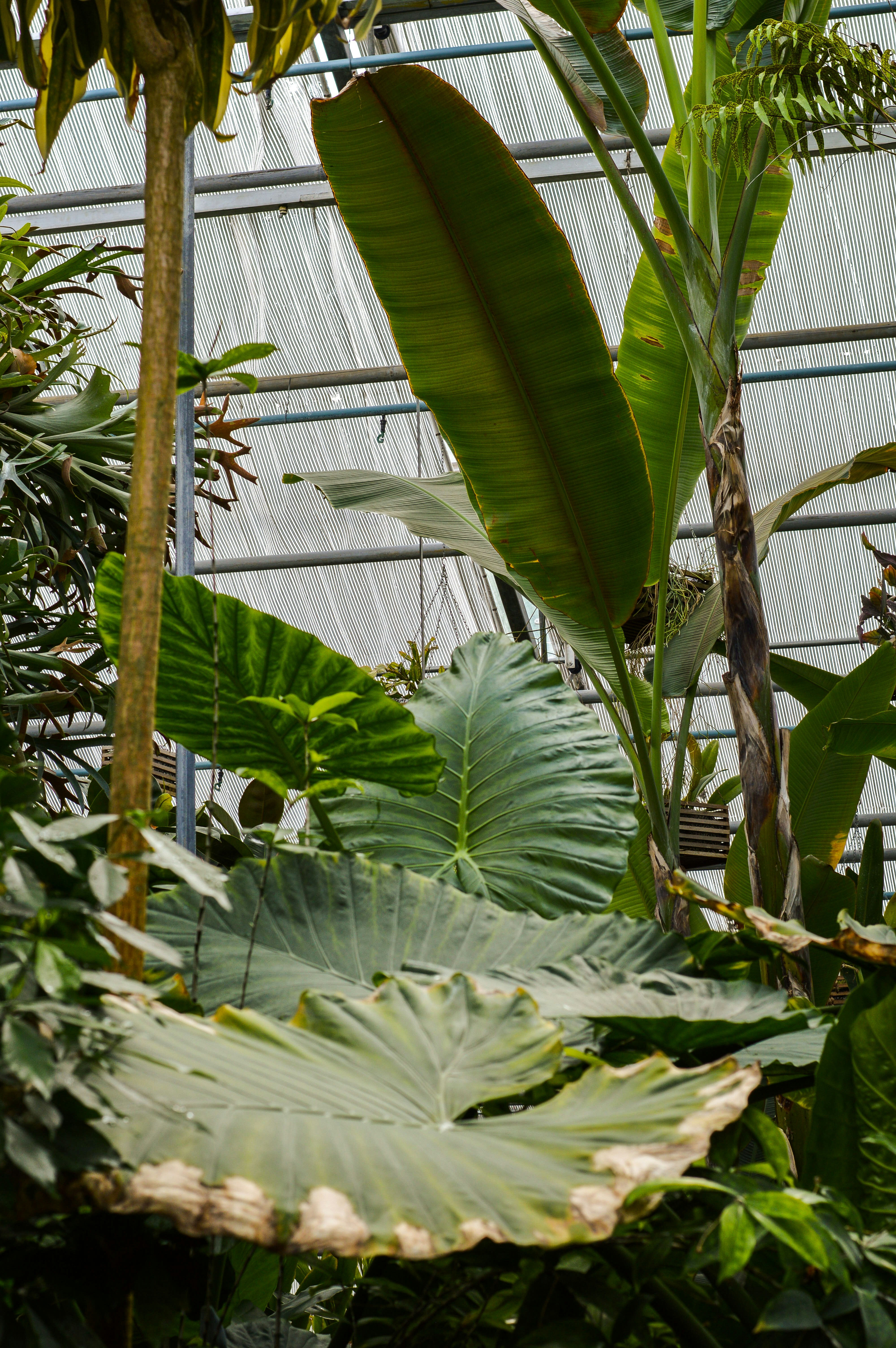 Photo by yana_vandeborne