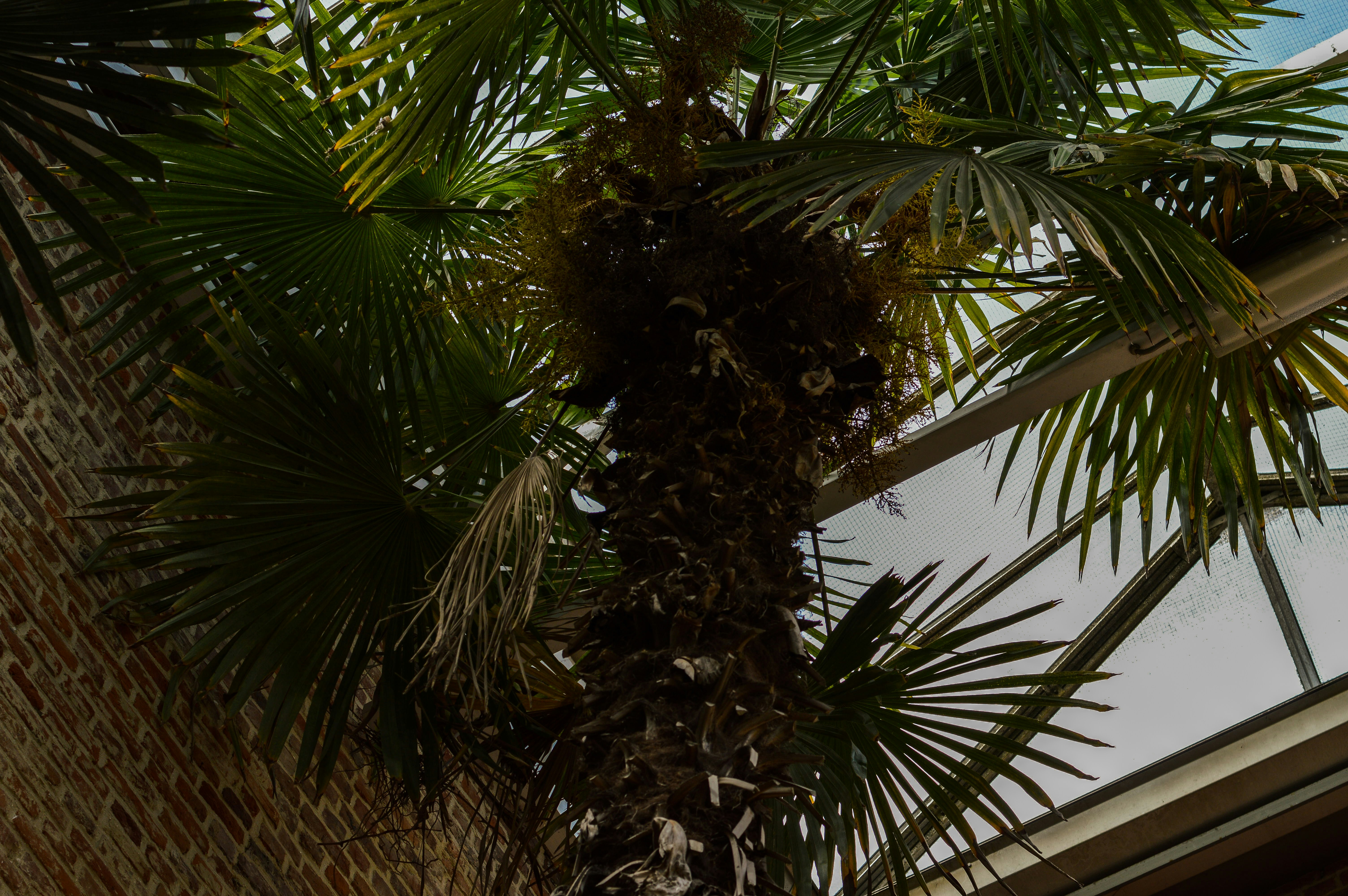 Photo by yana_vandeborne