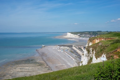 green grass field near body of water during daytime