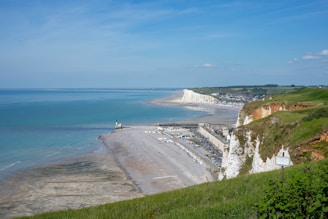green grass field near body of water during daytime