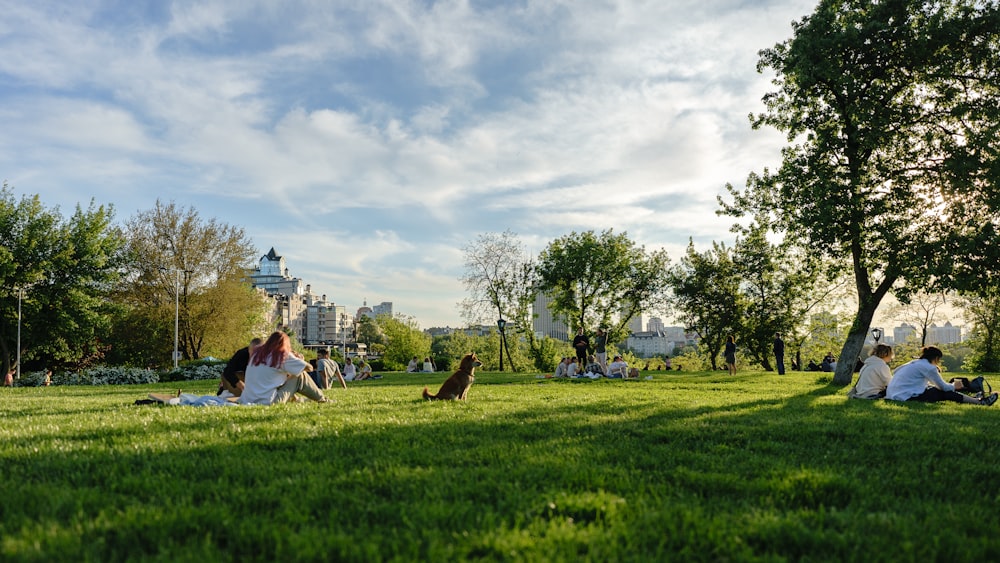 people sitting on green grass field during daytime