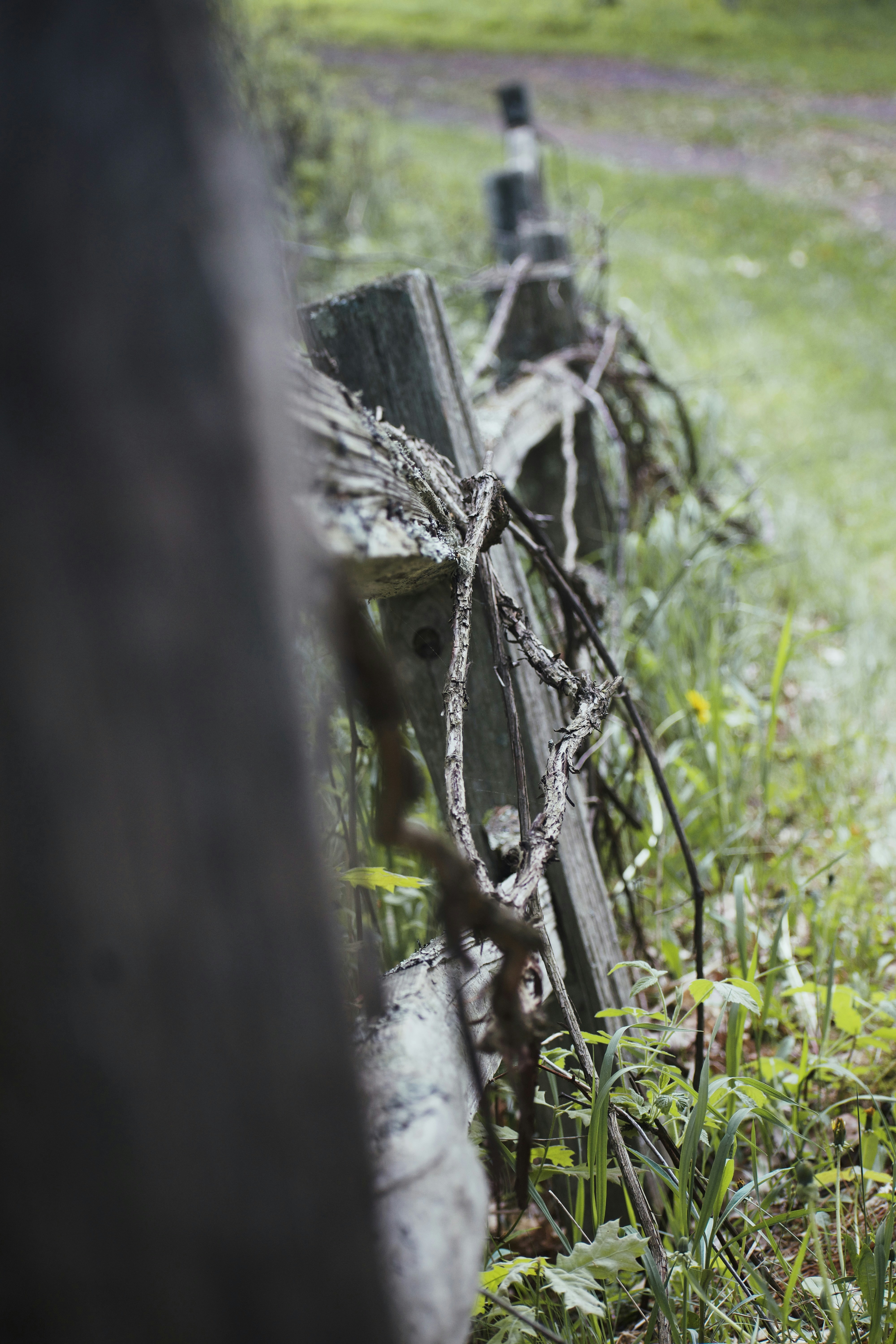 Photo by grantscobby