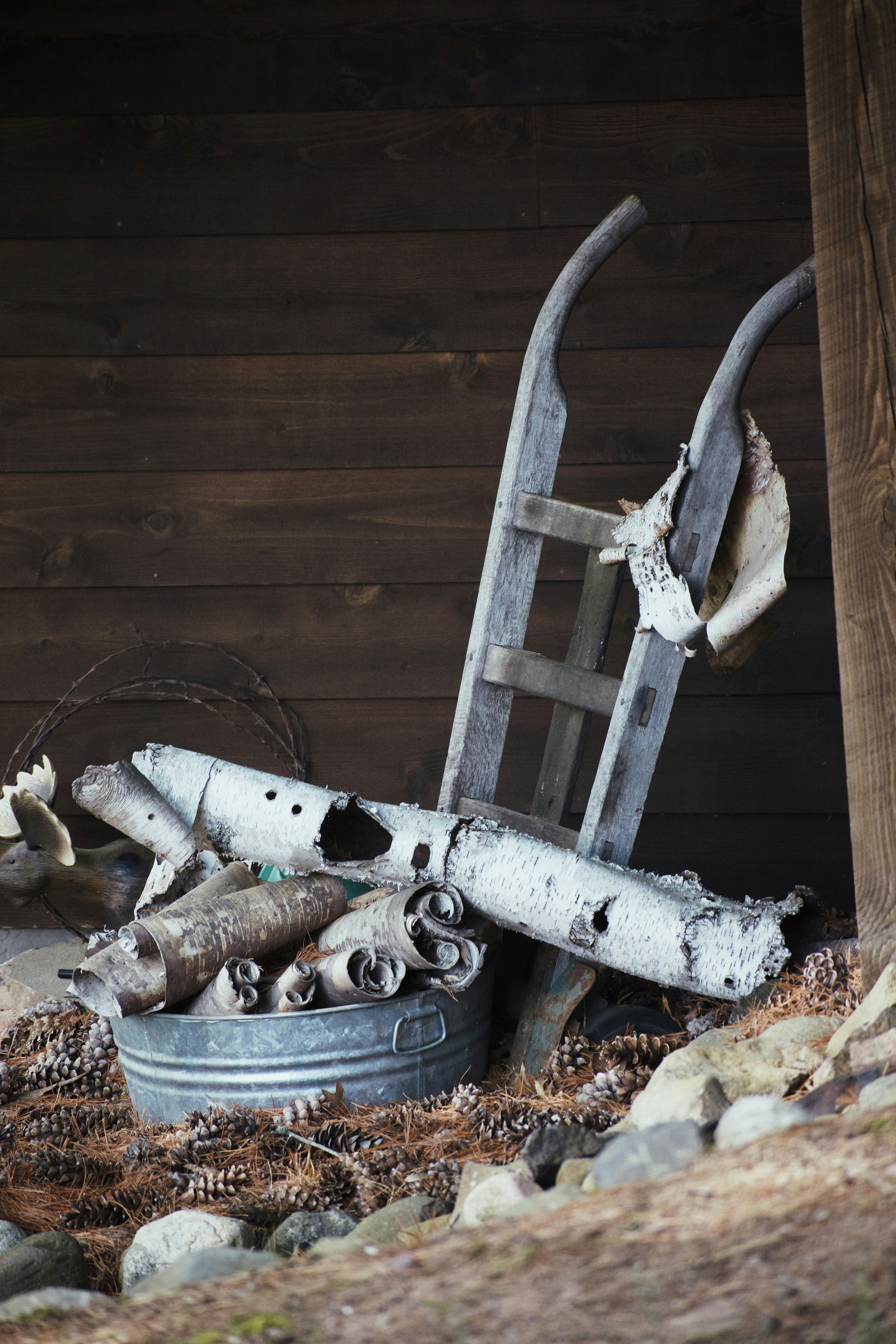 Photo by grantscobby