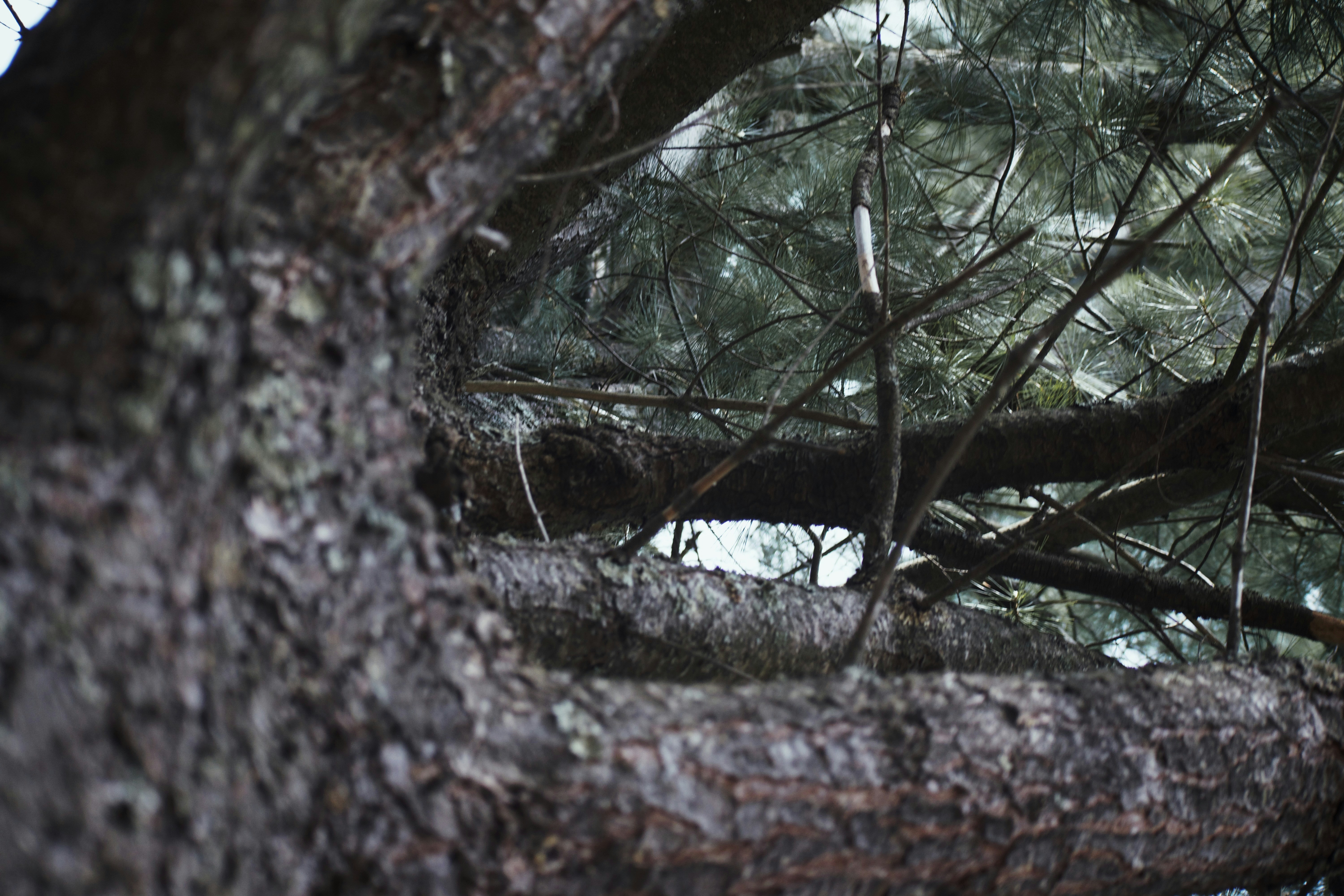 Photo by grantscobby