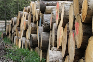 brown wooden logs on green grass during daytime