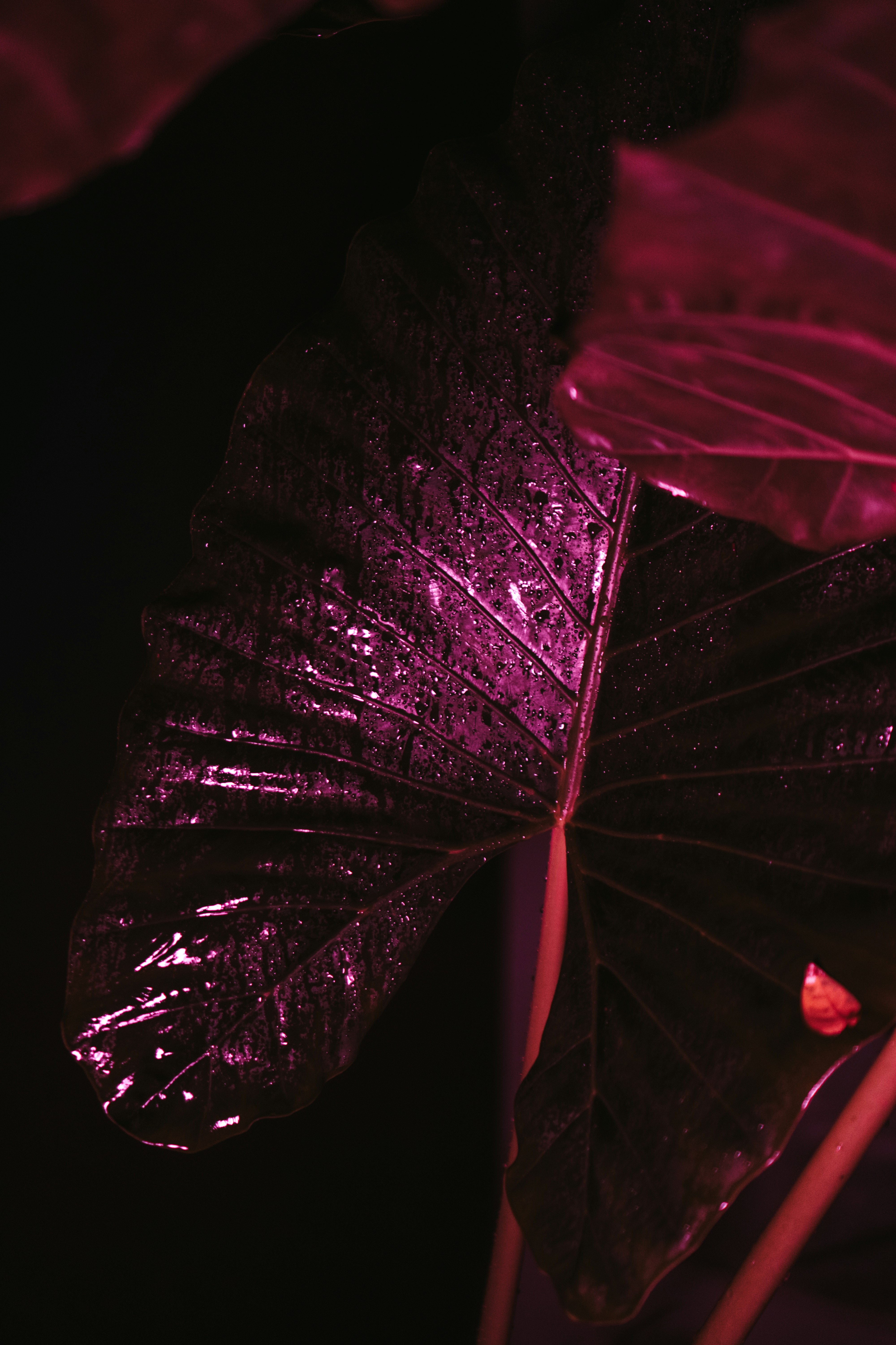 Photo by p_kuzovkova