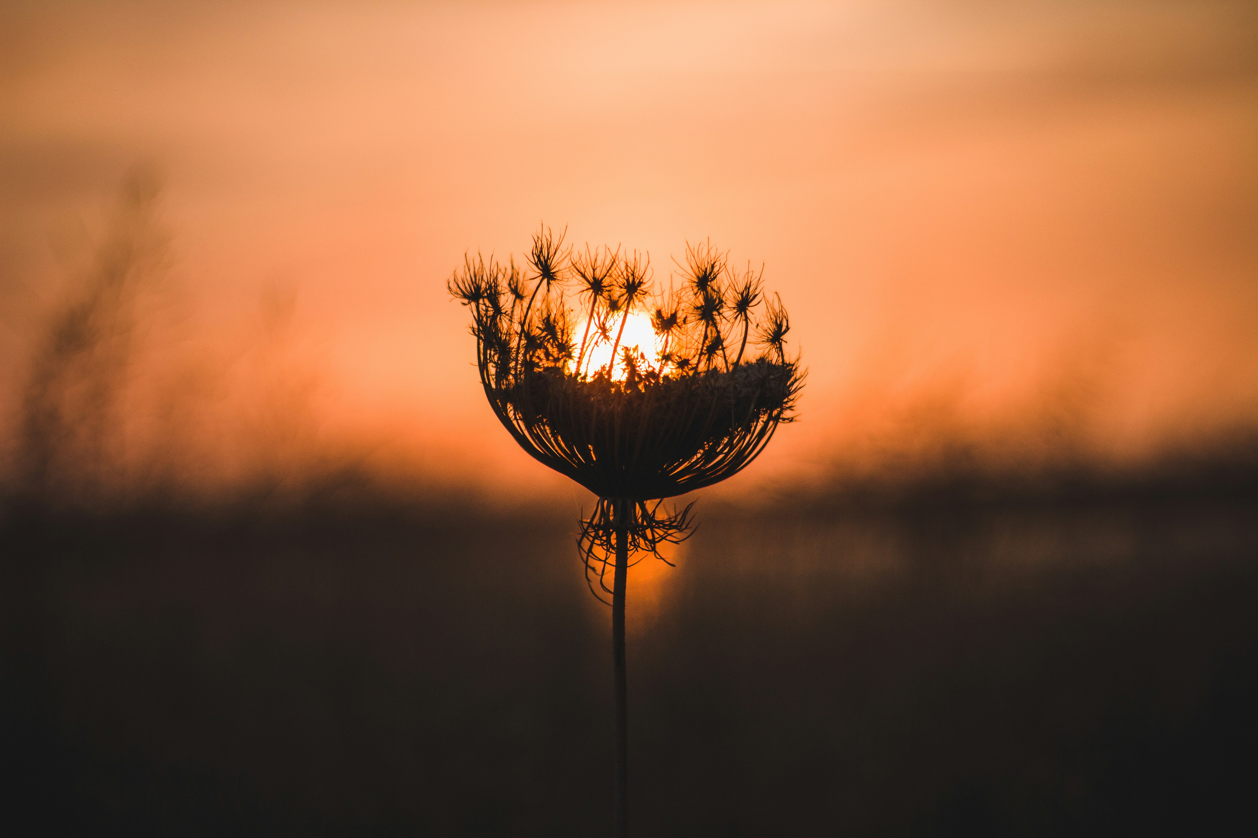 Photo by berkankucukgul