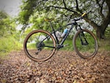 A mountain bike with a black frame and tanwall tires is parked on a path covered with dry leaves. The bike has two water bottles attached to its frame. Surrounding the path are lush green trees and grass, suggesting a natural and serene setting.