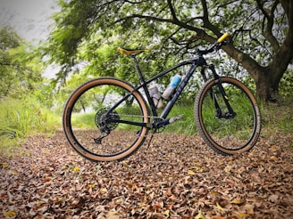 A mountain bike with a black frame and tanwall tires is parked on a path covered with dry leaves. The bike has two water bottles attached to its frame. Surrounding the path are lush green trees and grass, suggesting a natural and serene setting.