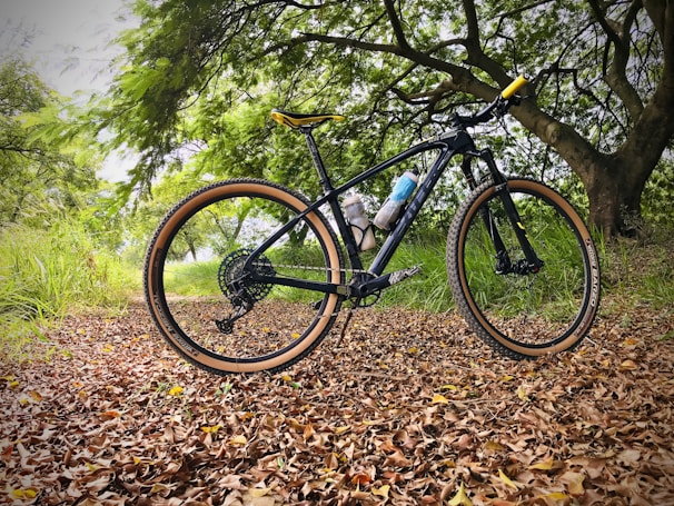 A mountain bike with a black frame and tanwall tires is parked on a path covered with dry leaves. The bike has two water bottles attached to its frame. Surrounding the path are lush green trees and grass, suggesting a natural and serene setting.