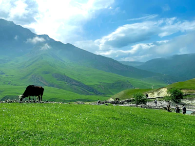 Green mountain slopes above Gabala under a cloudy sky