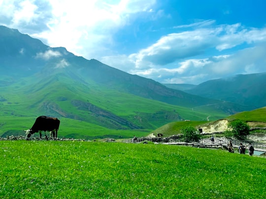 green mountains under white clouds during daytime in Laza Azerbaijan