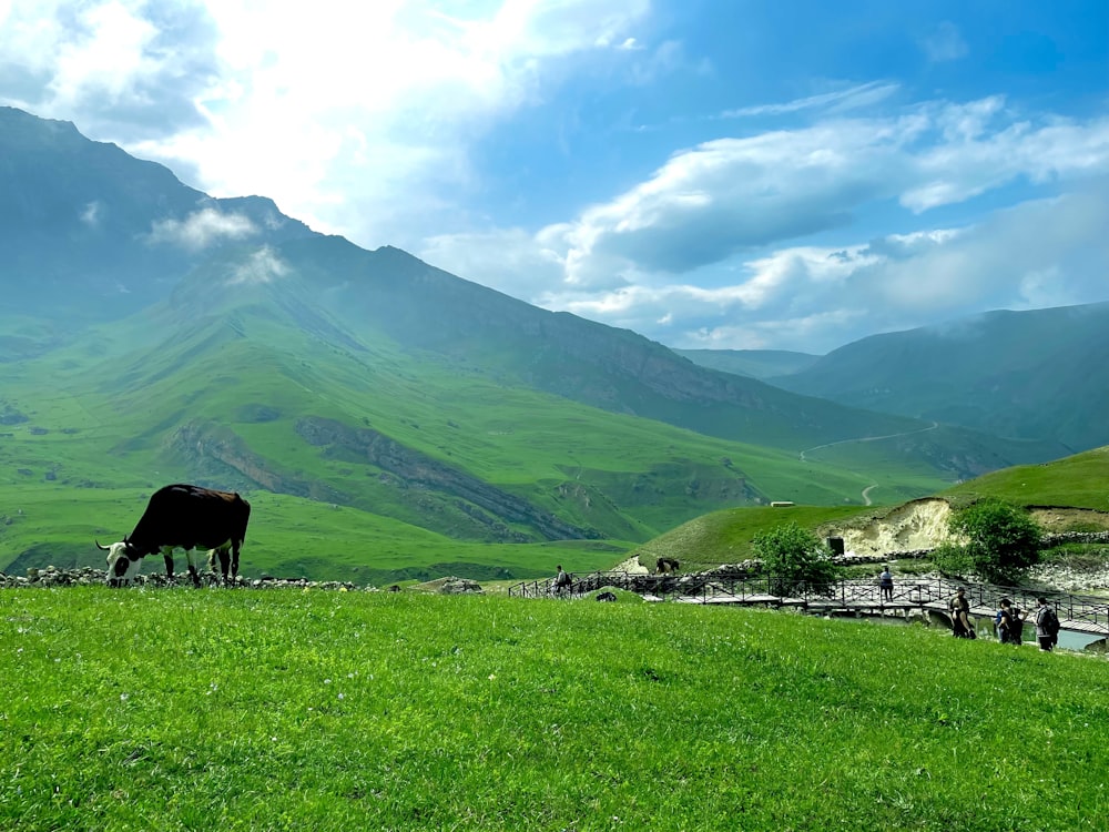 green mountains under white clouds during daytime