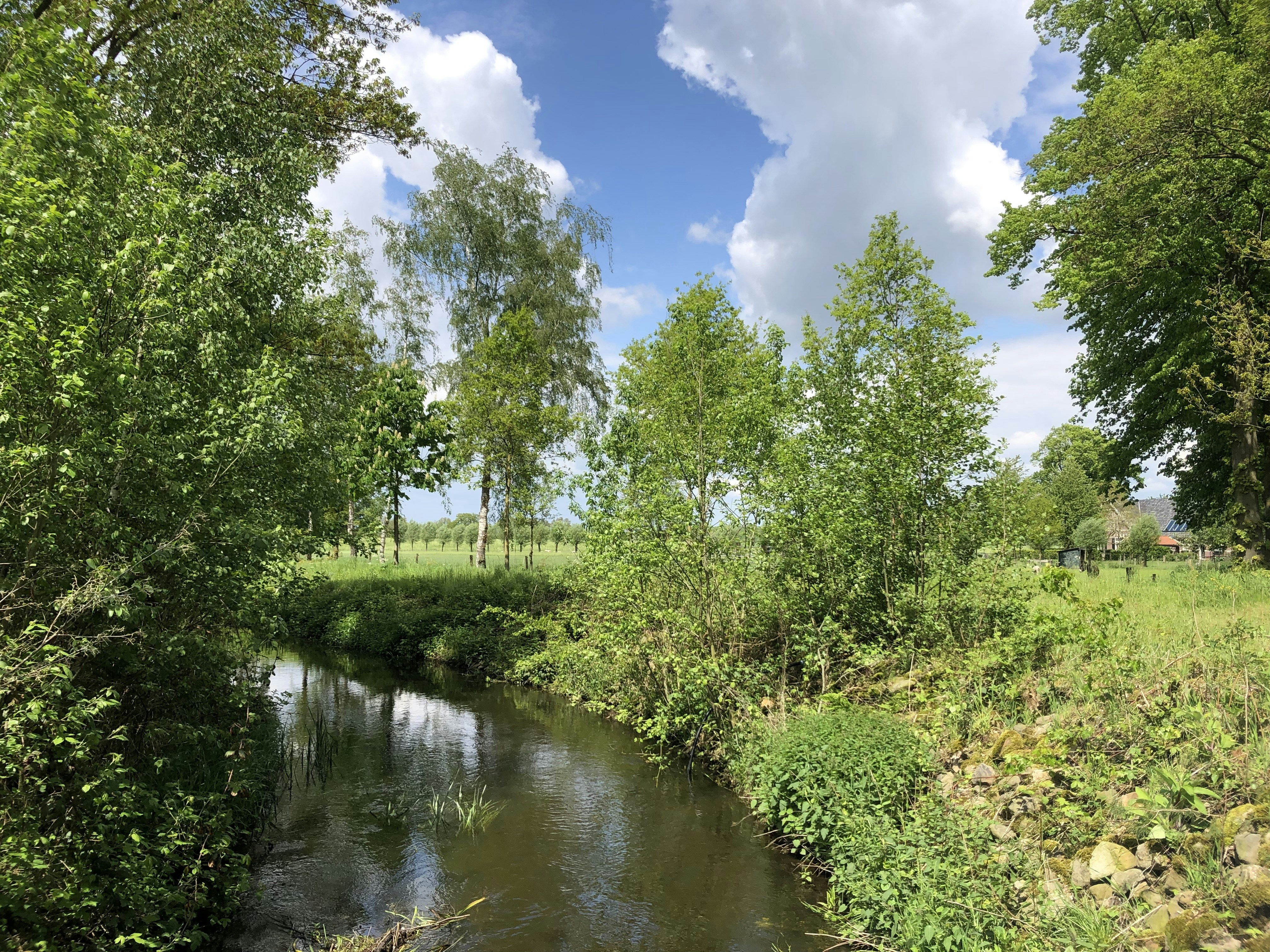 Photo by max_payload