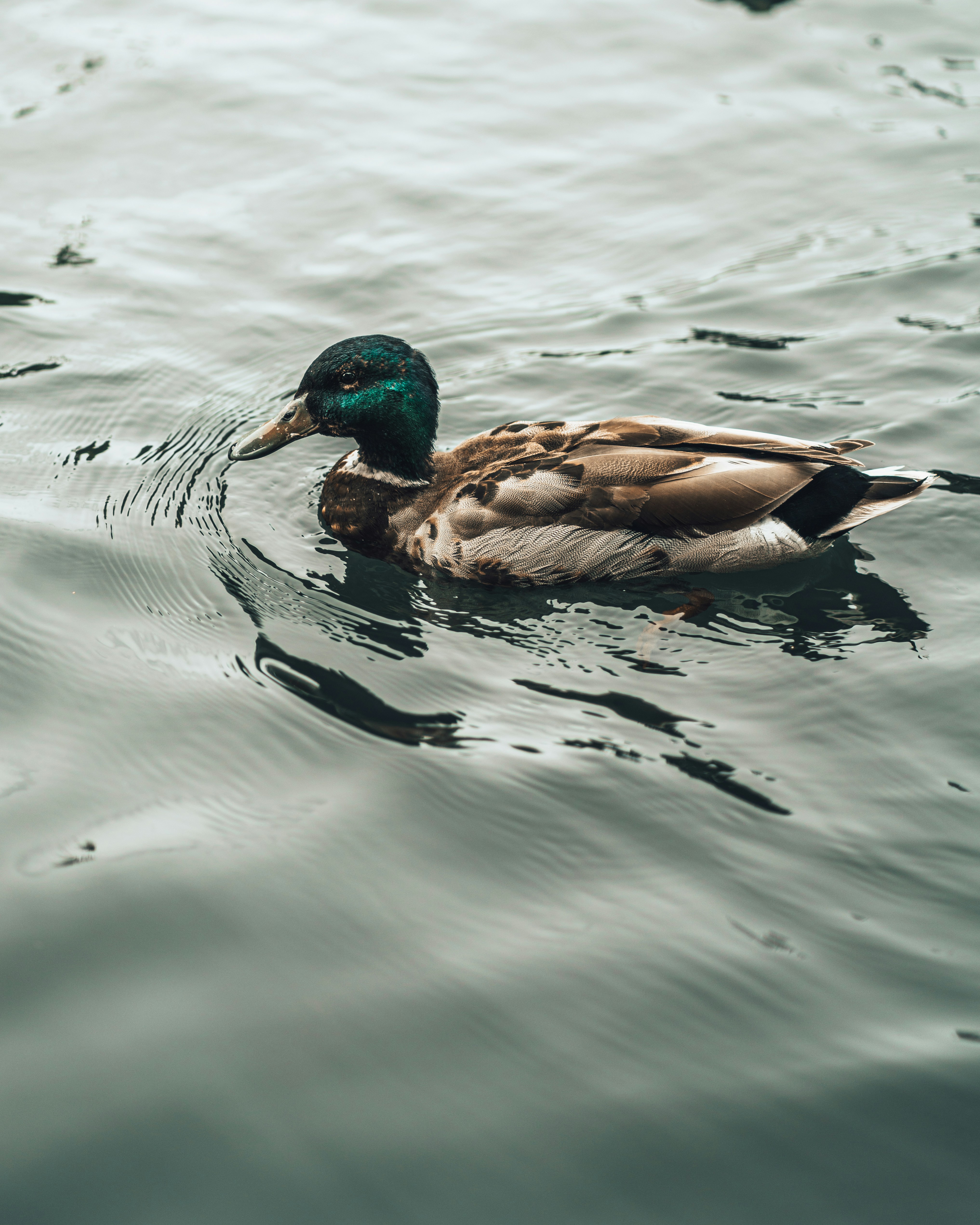 Photo by orangetiephotography