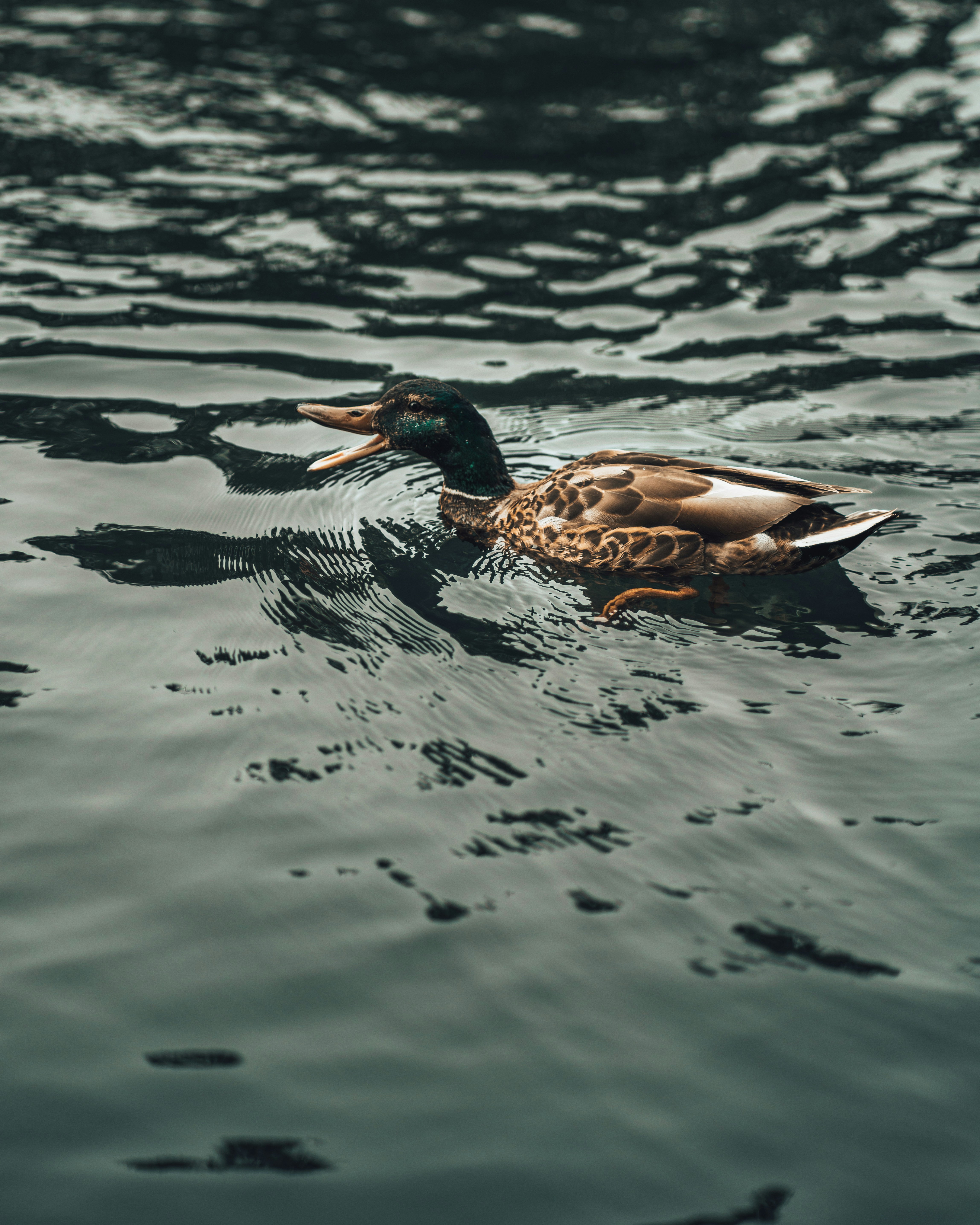 Photo by orangetiephotography