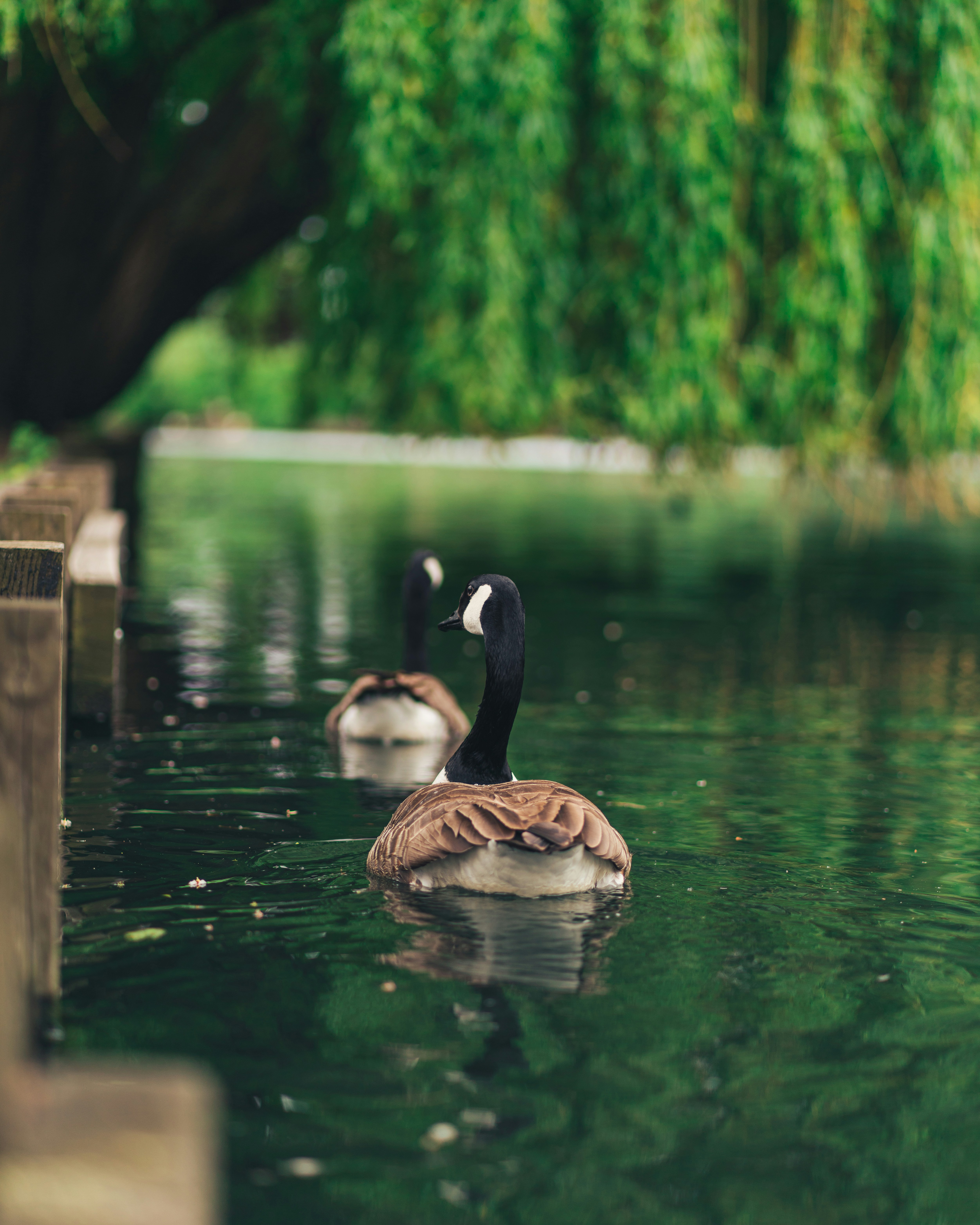 Photo by orangetiephotography