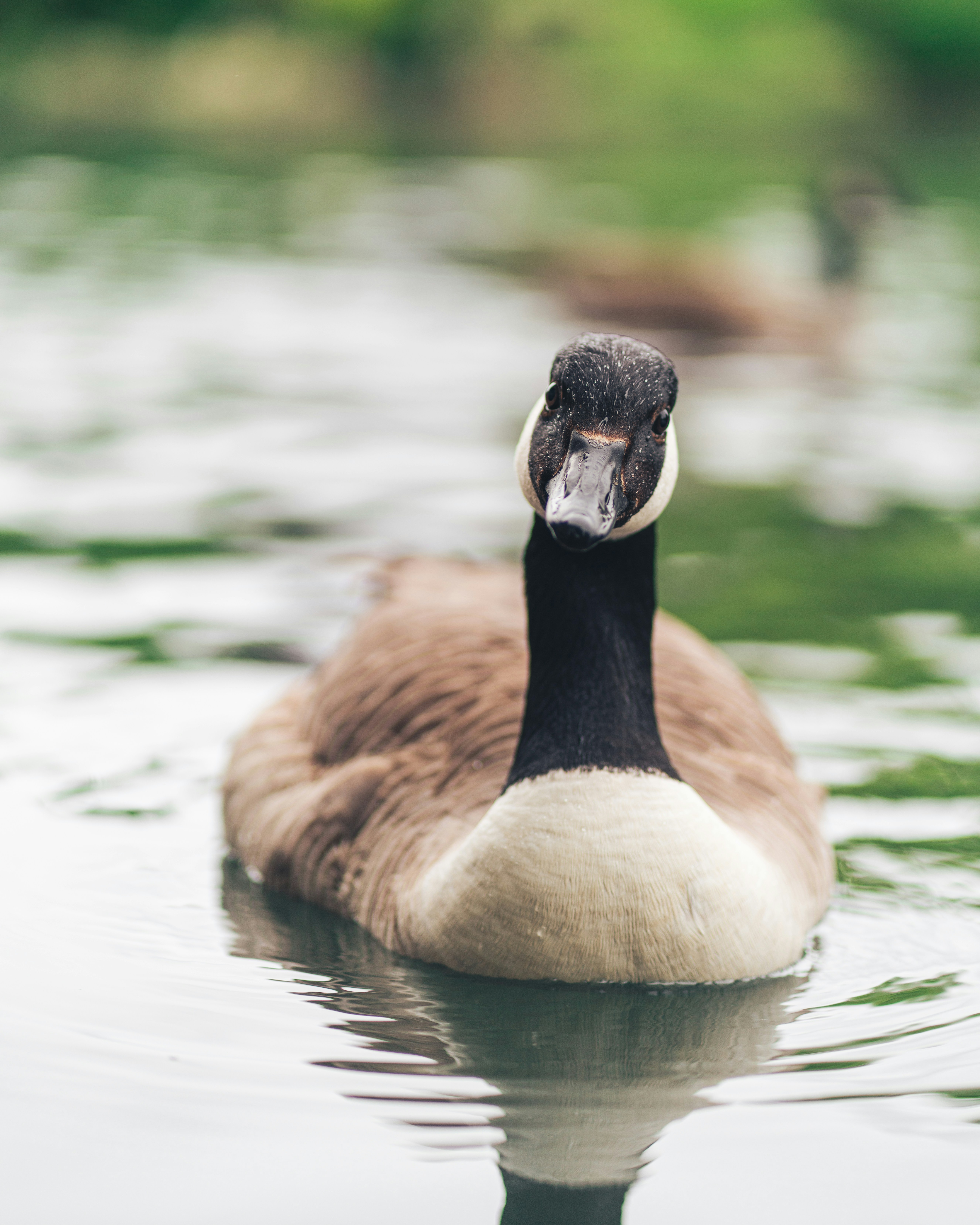 Photo by orangetiephotography