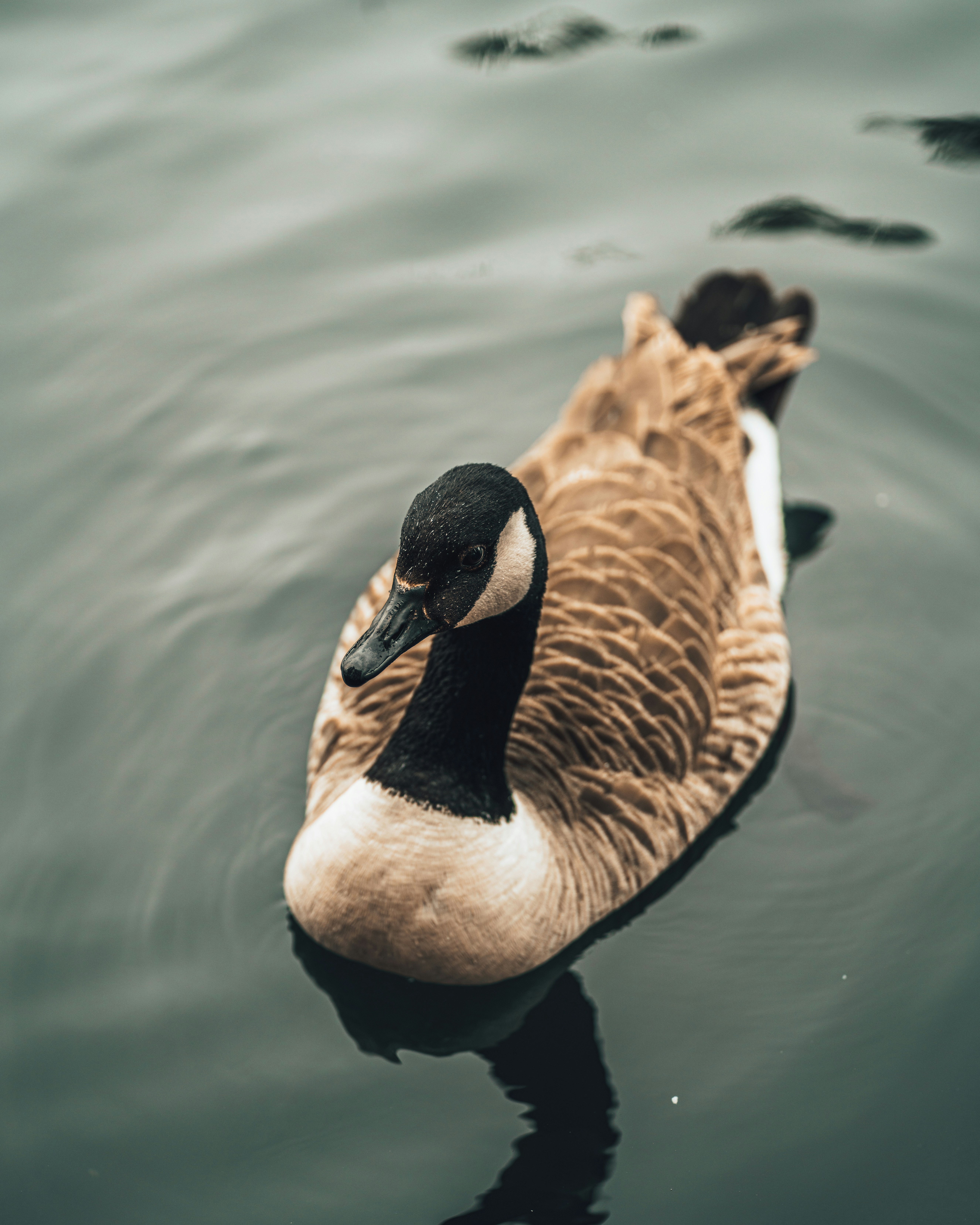 Photo by orangetiephotography