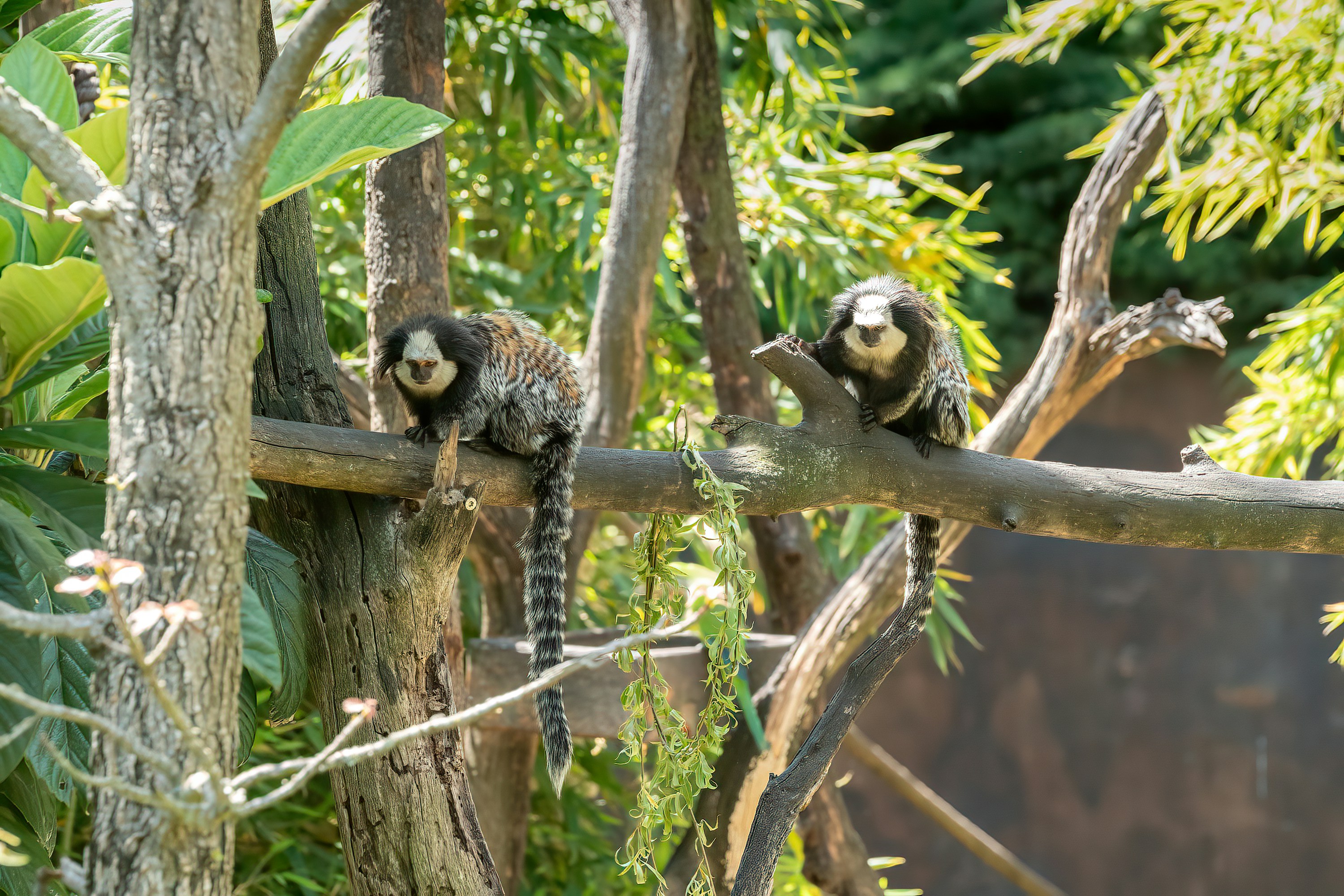 Photo by alessandro33