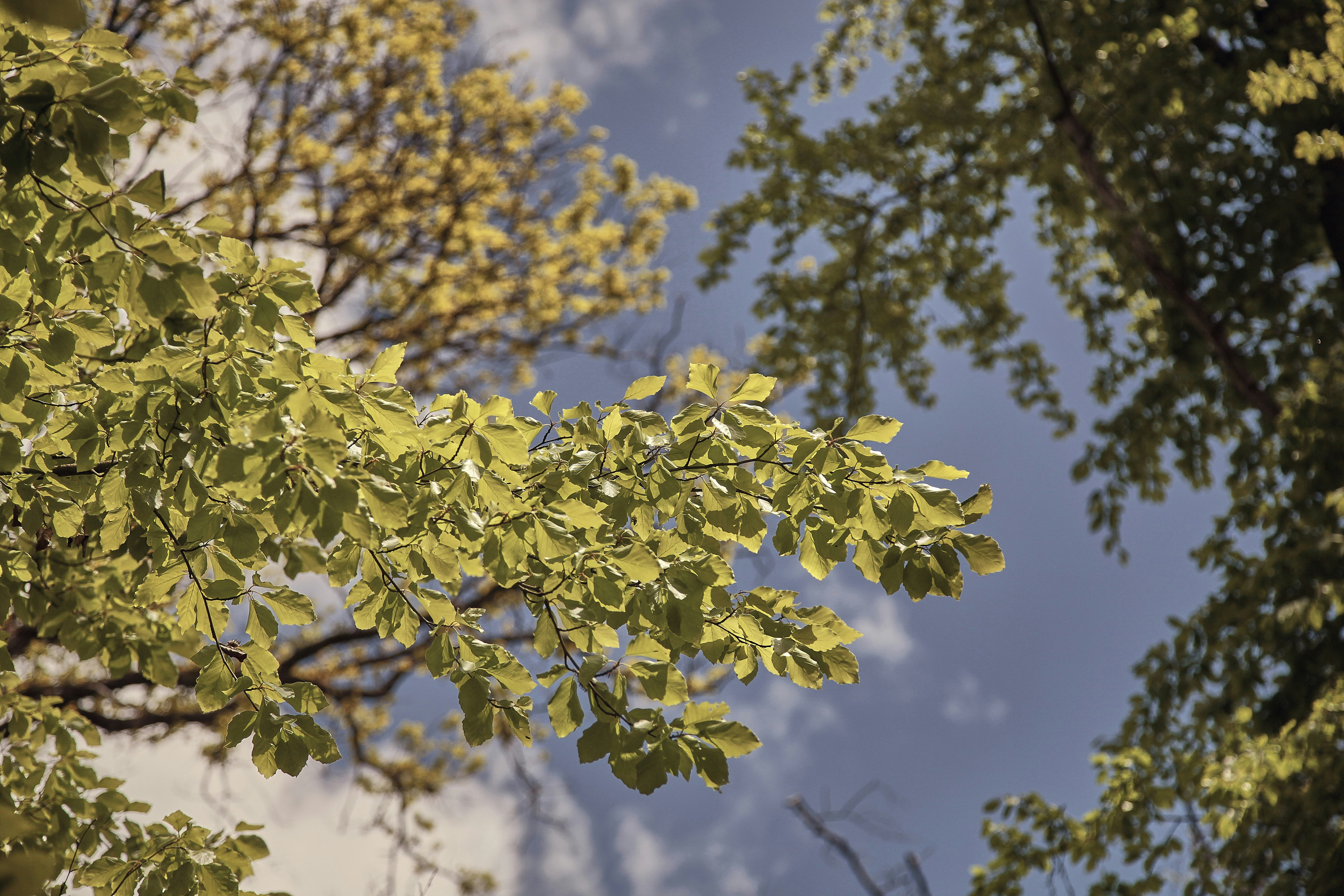 Photo by quadratmedia